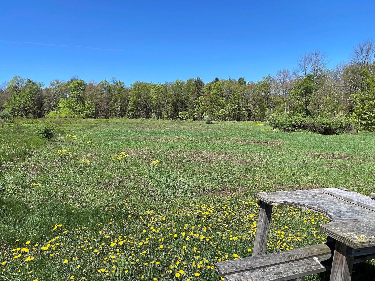 Single Family Eminence  Delaware County, NY 13783, MLS-862727-36