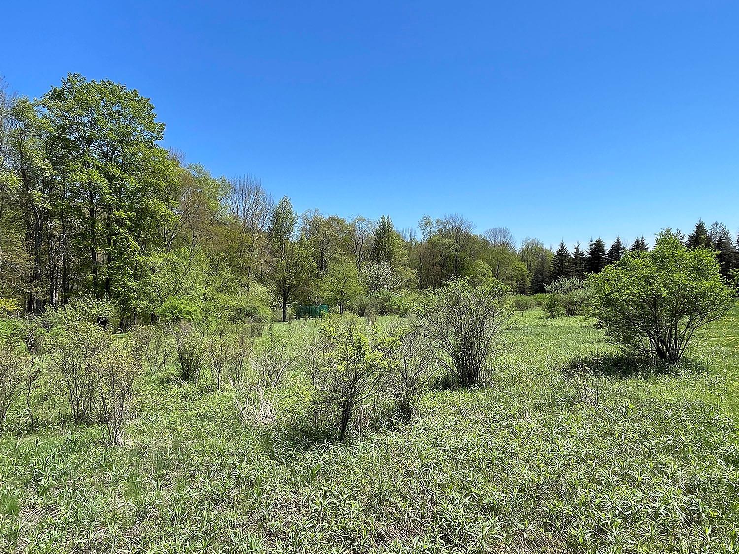 Single Family Eminence  Delaware County, NY 13783, MLS-862727-38
