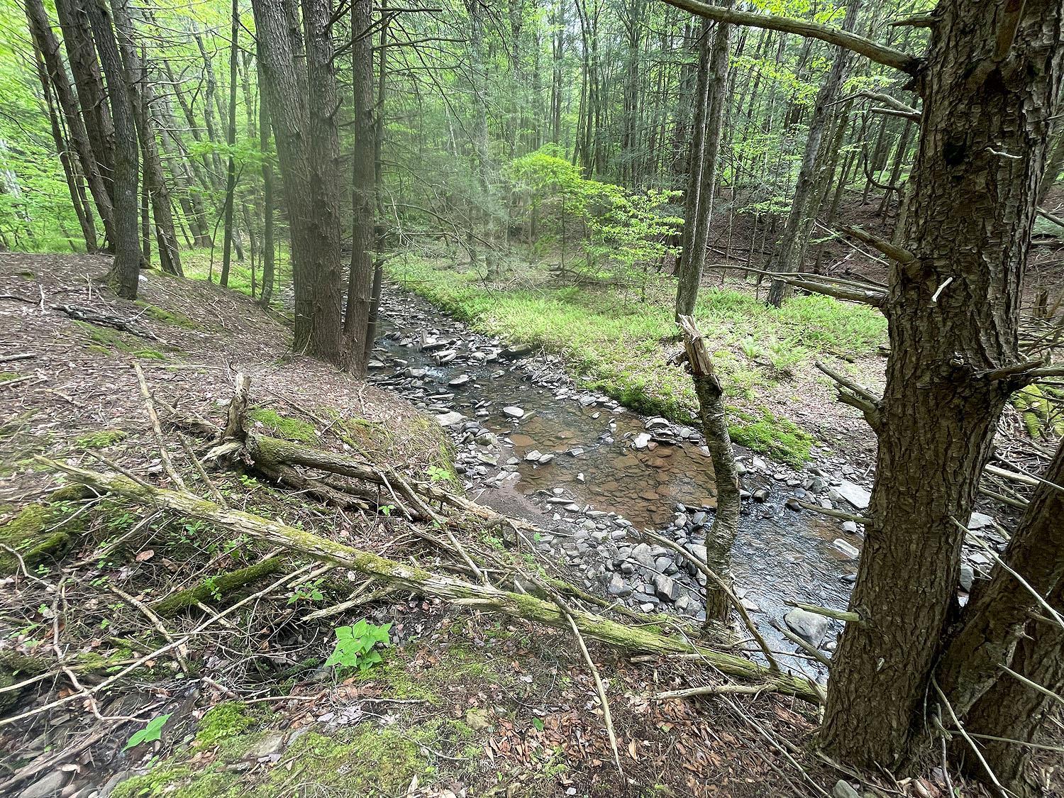 Single Family Eminence  Delaware County, NY 13783, MLS-862727-43
