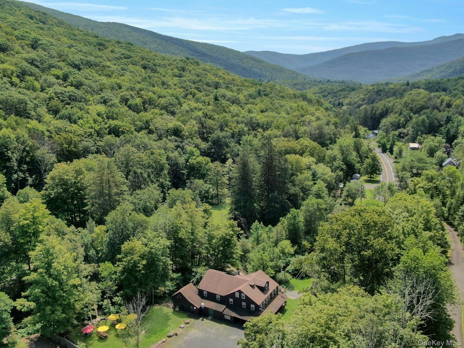 Single Family Rt-42 Ulster County, NY 12480, MLS-862773-37