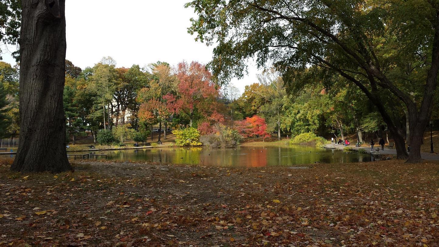Single Family 165  Queens, NY 11432, MLS-863133-24