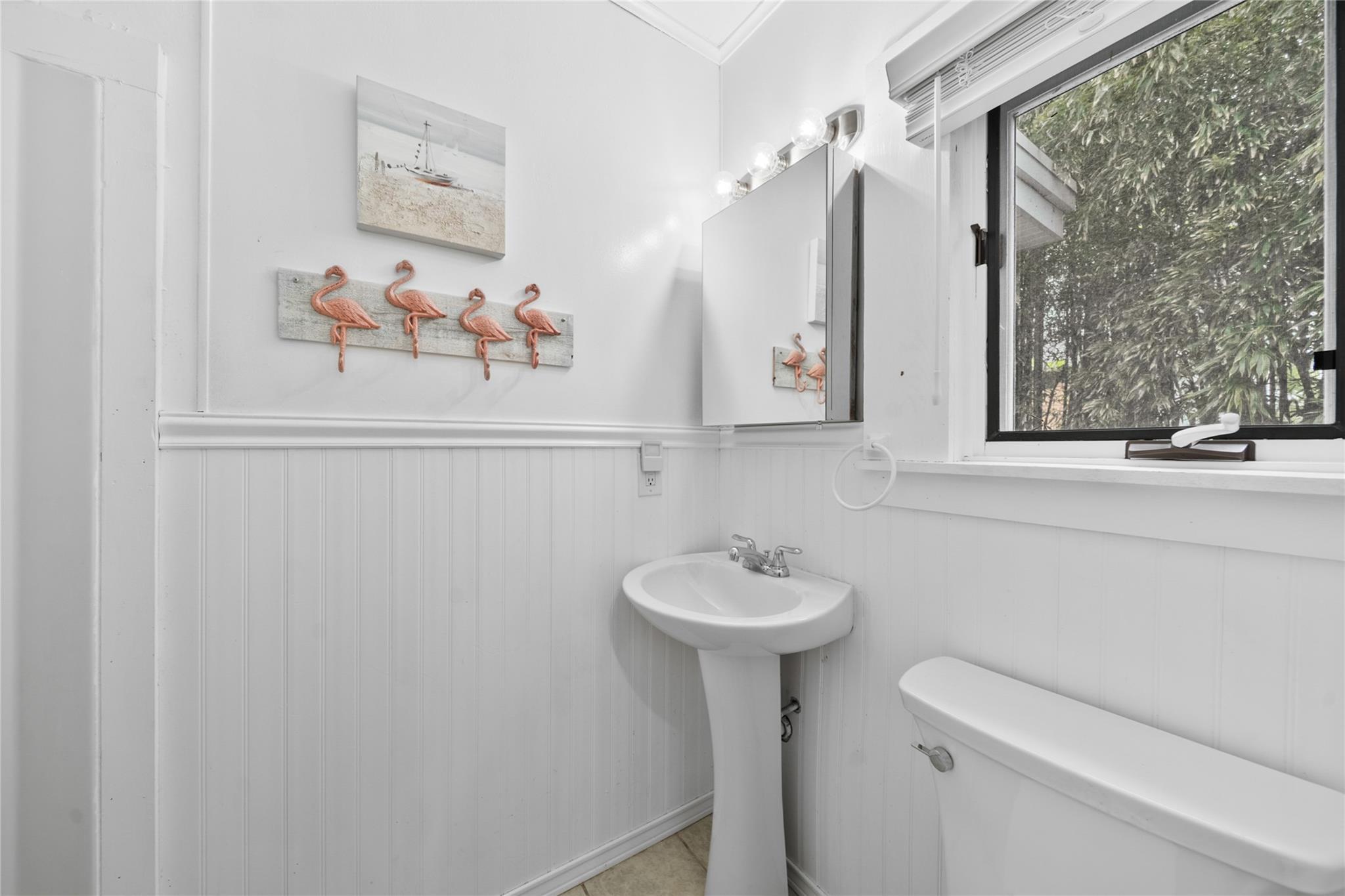 Single Family Champlain  Suffolk County, NY 11706, MLS-863216-29