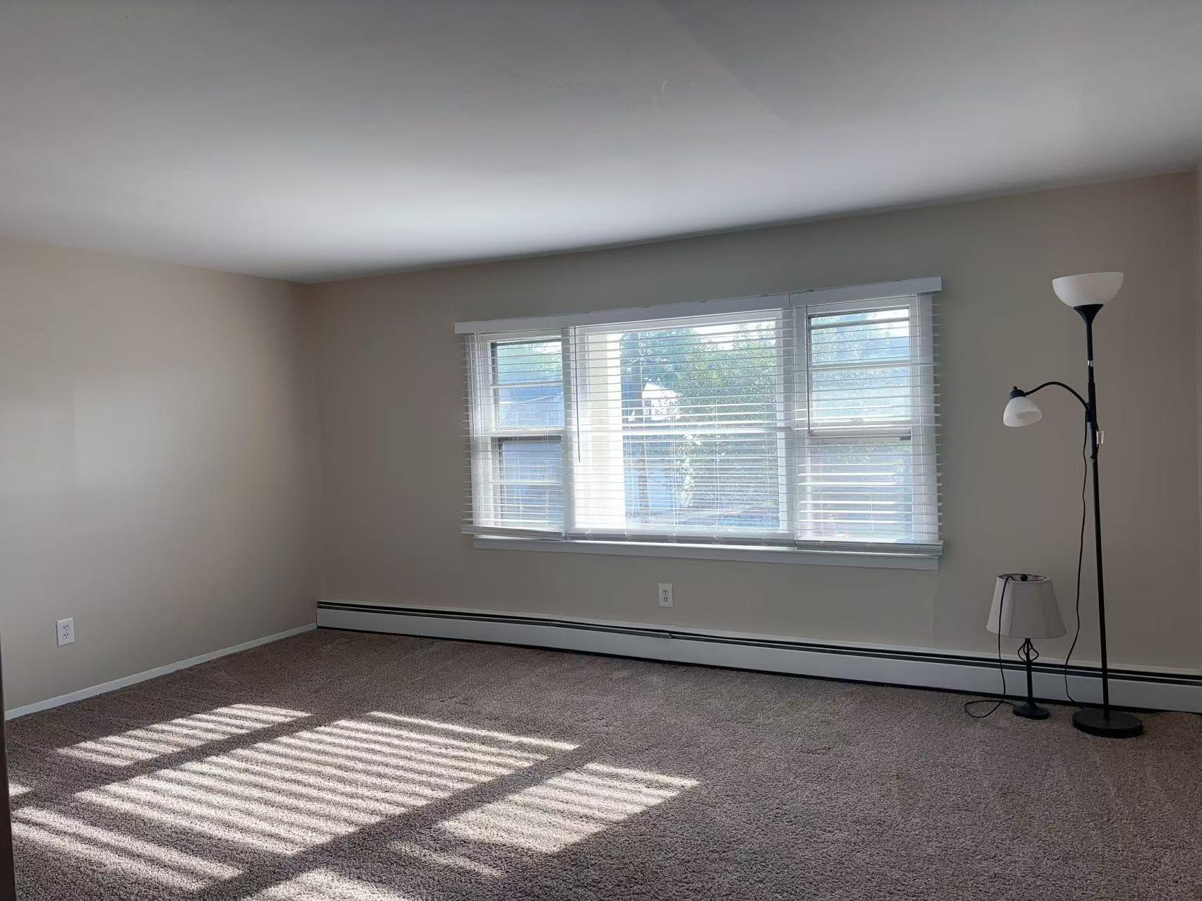 Single Family Beech  Nassau County, NY 11793, MLS-863293-12