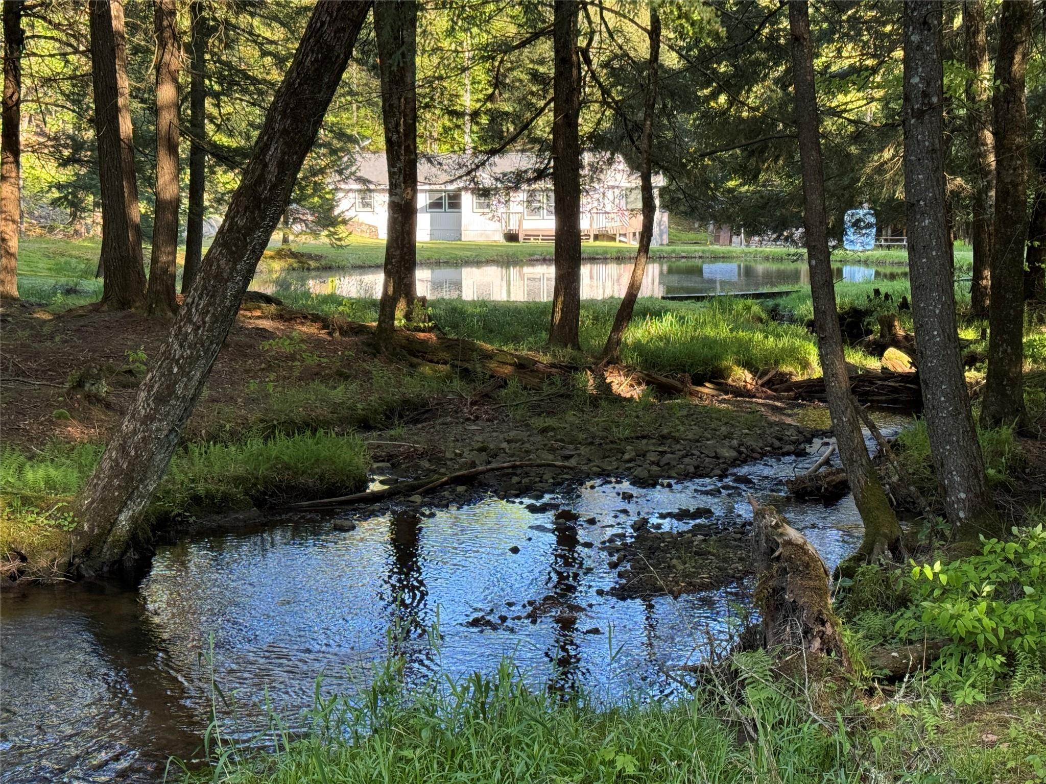 Single Family Forest  Sullivan County, NY 12758, MLS-863601-2
