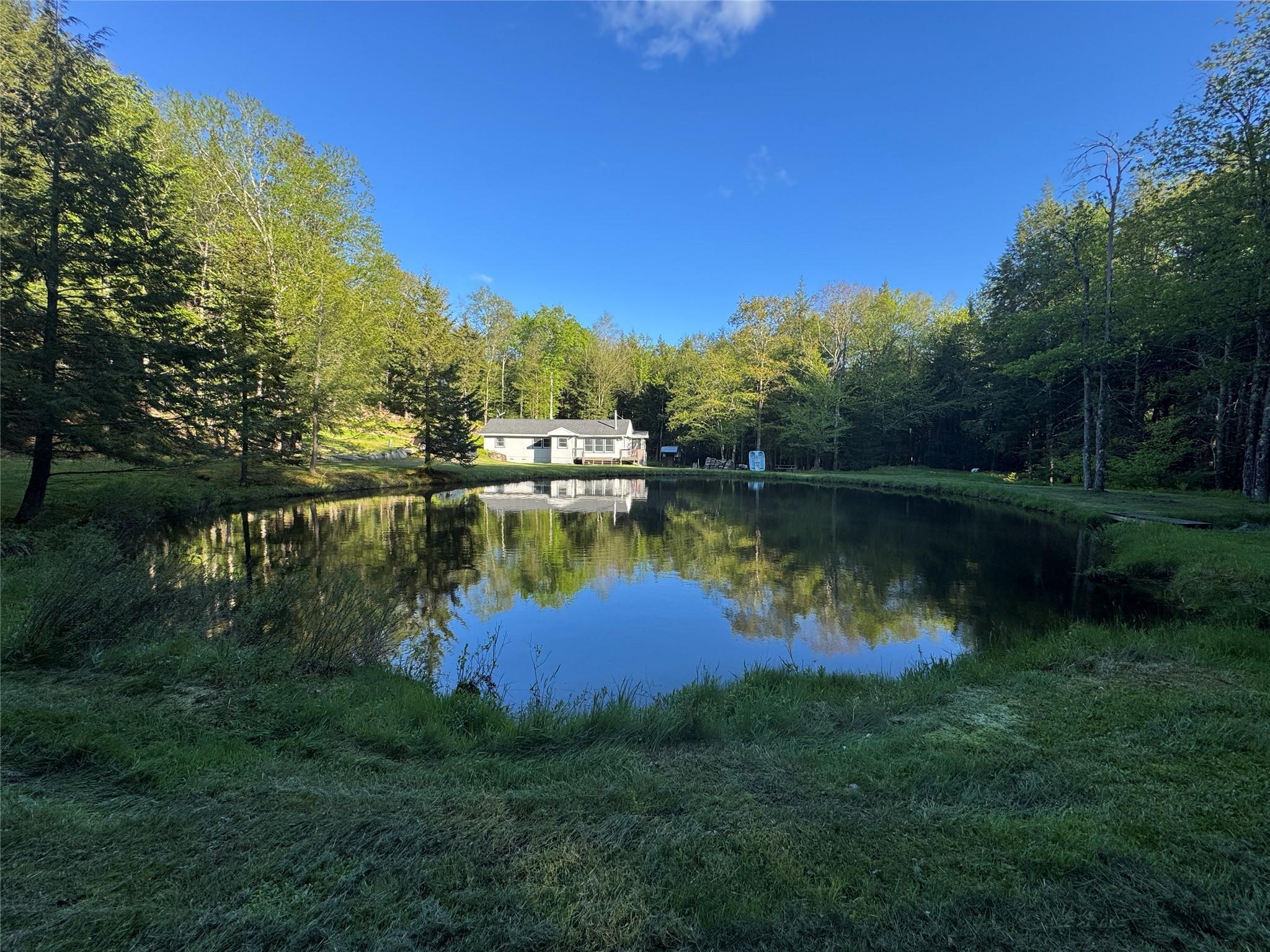 Single Family Forest  Sullivan County, NY 12758, MLS-863601-3