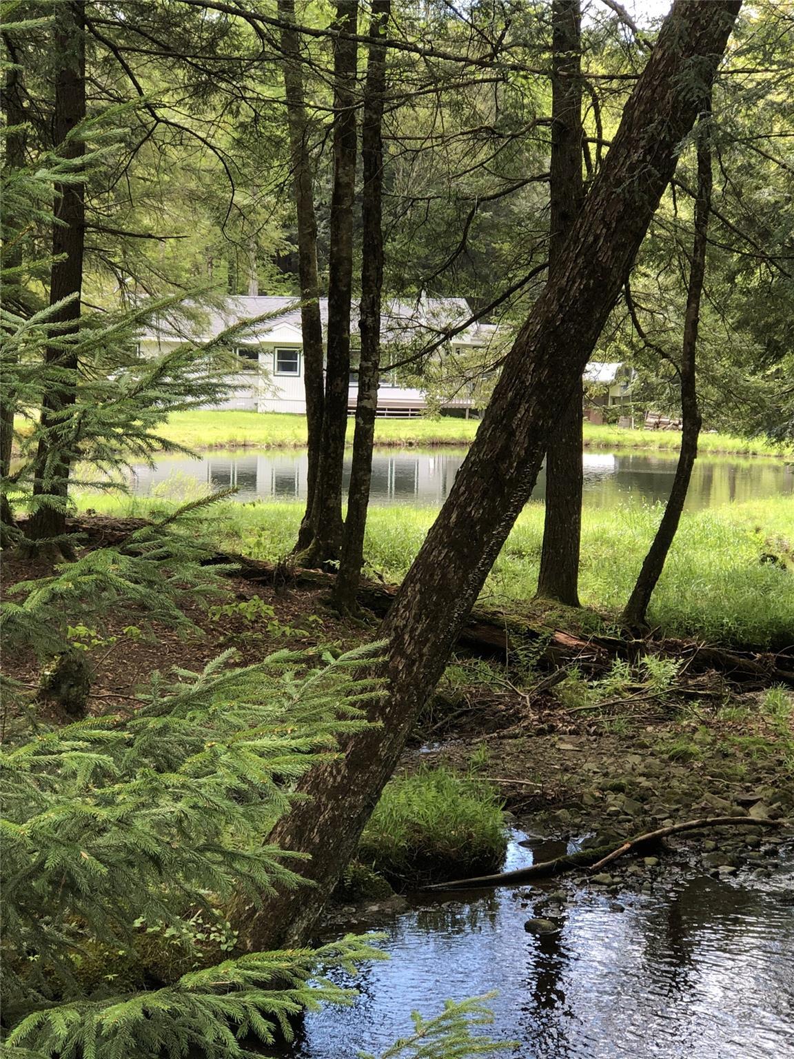Single Family Forest  Sullivan County, NY 12758, MLS-863601-32