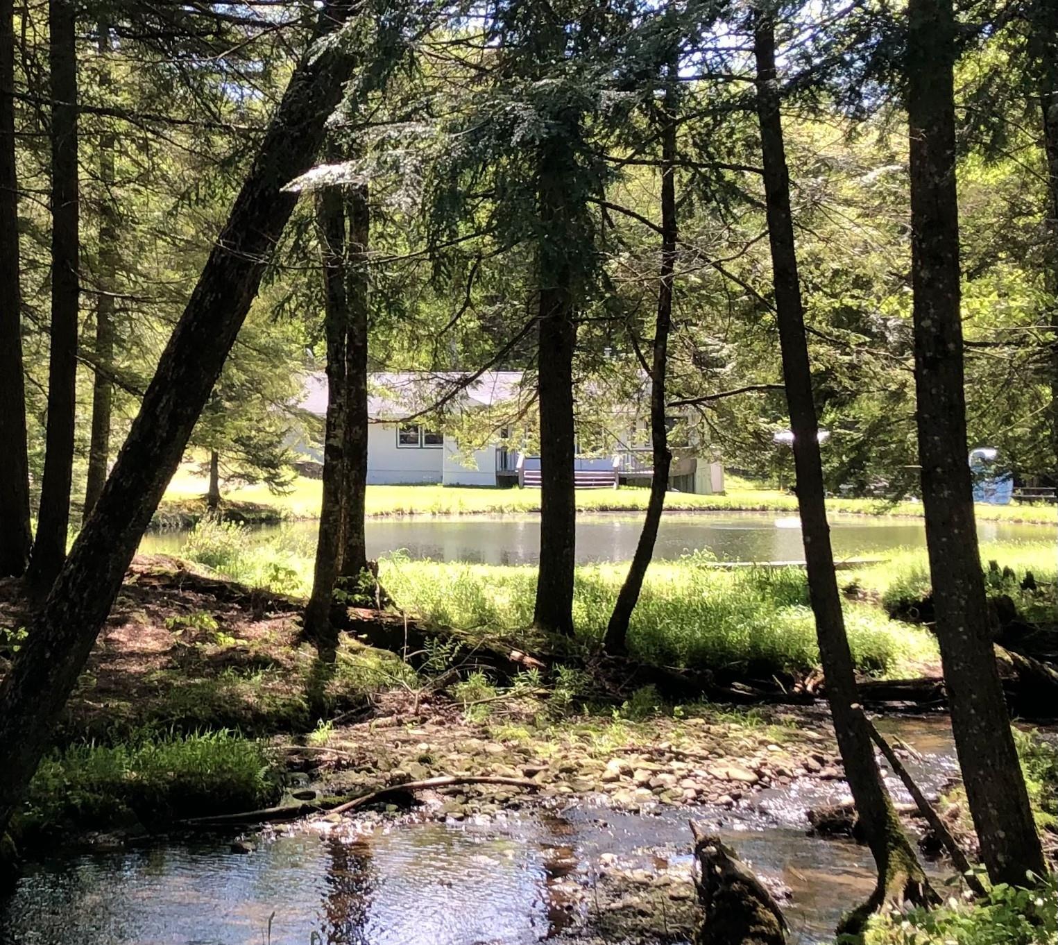 Single Family Forest  Sullivan County, NY 12758, MLS-863601-33