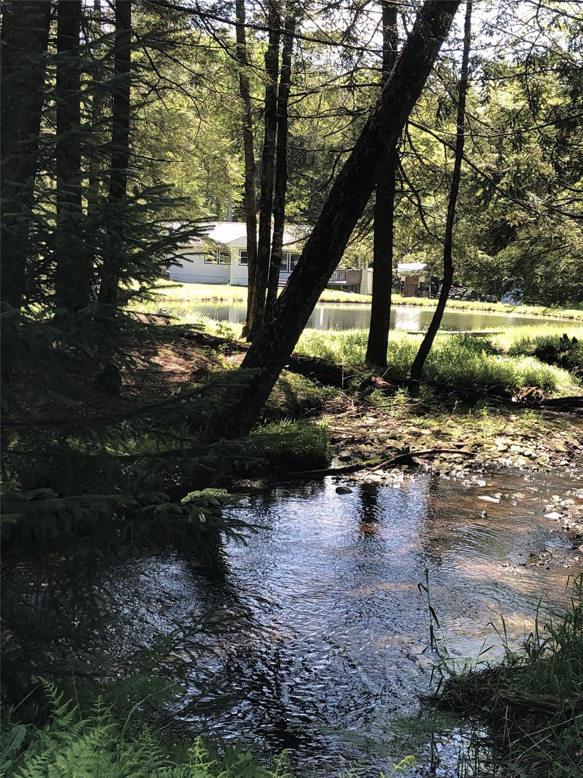 Single Family Forest  Sullivan County, NY 12758, MLS-863601-34