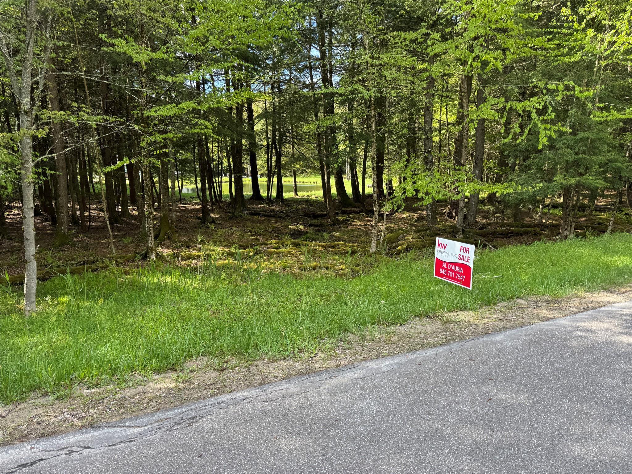 Single Family Forest  Sullivan County, NY 12758, MLS-863601-37