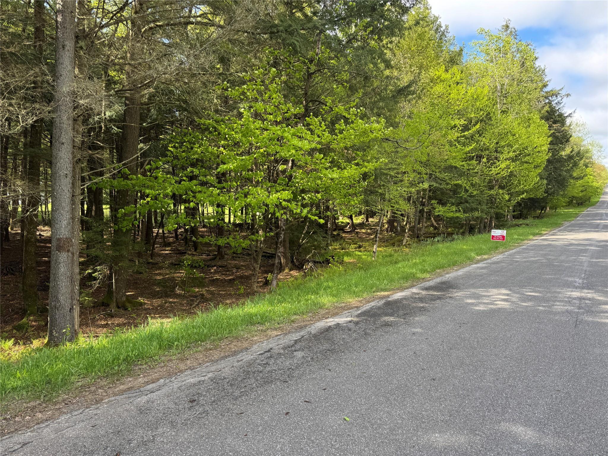 Single Family Forest  Sullivan County, NY 12758, MLS-863601-38
