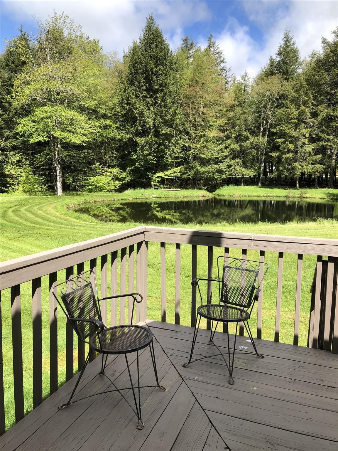 Single Family Forest  Sullivan County, NY 12758, MLS-863601-5