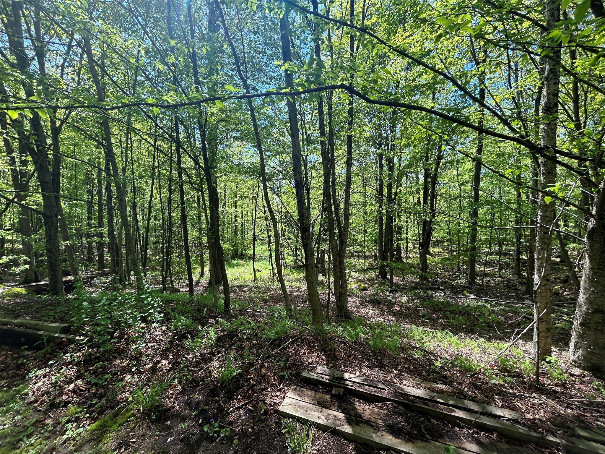 Single Family Mud Pond  Sullivan County, NY 12758, MLS-863622-12