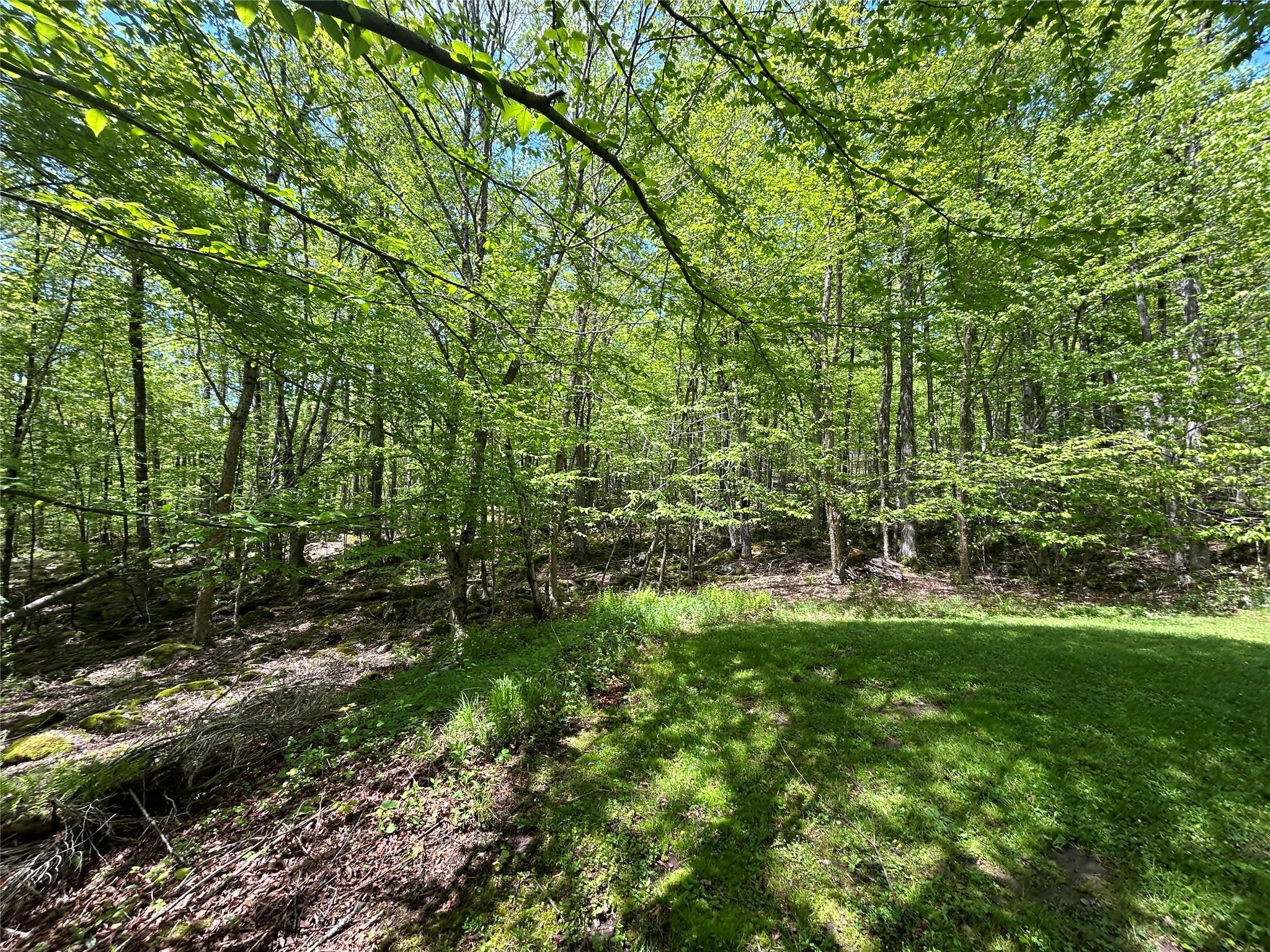 Single Family Mud Pond  Sullivan County, NY 12758, MLS-863622-13