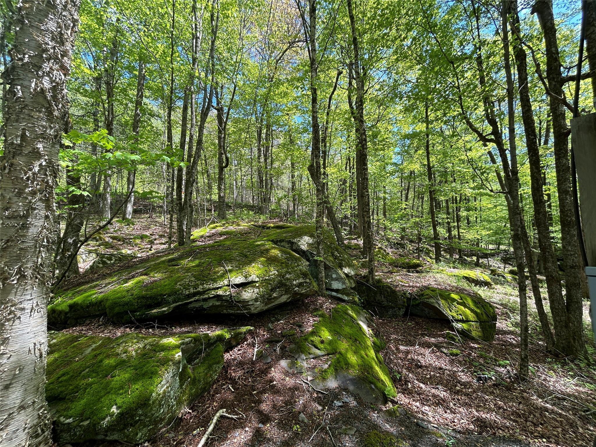 Single Family Mud Pond  Sullivan County, NY 12758, MLS-863622-14