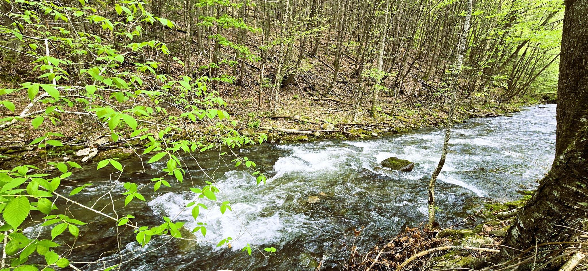 Single Family Sugar Loaf  Sullivan County, NY 12740, MLS-863629-29