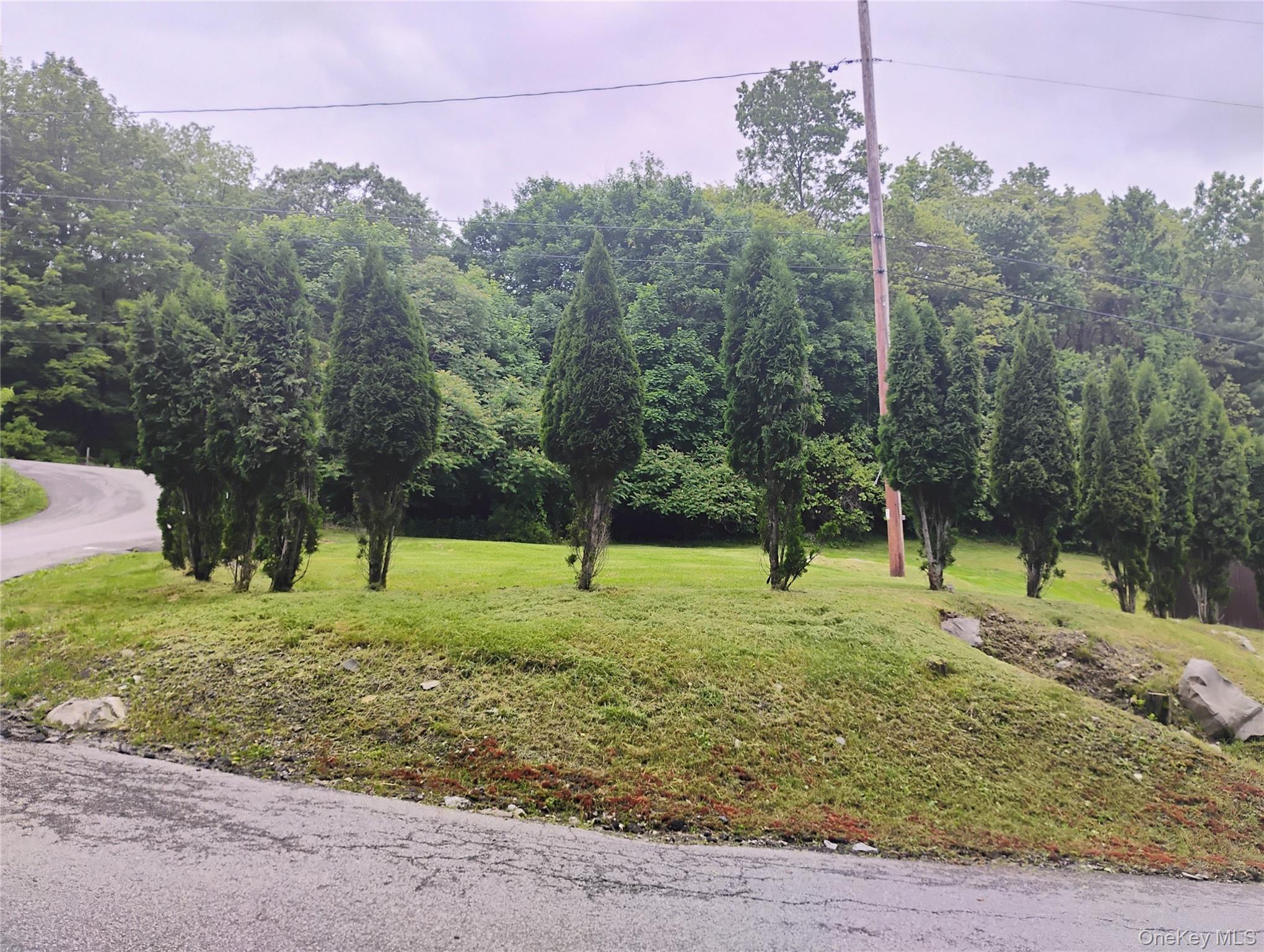 Single Family Reservoir Ulster County, NY 12542, MLS-863651-14