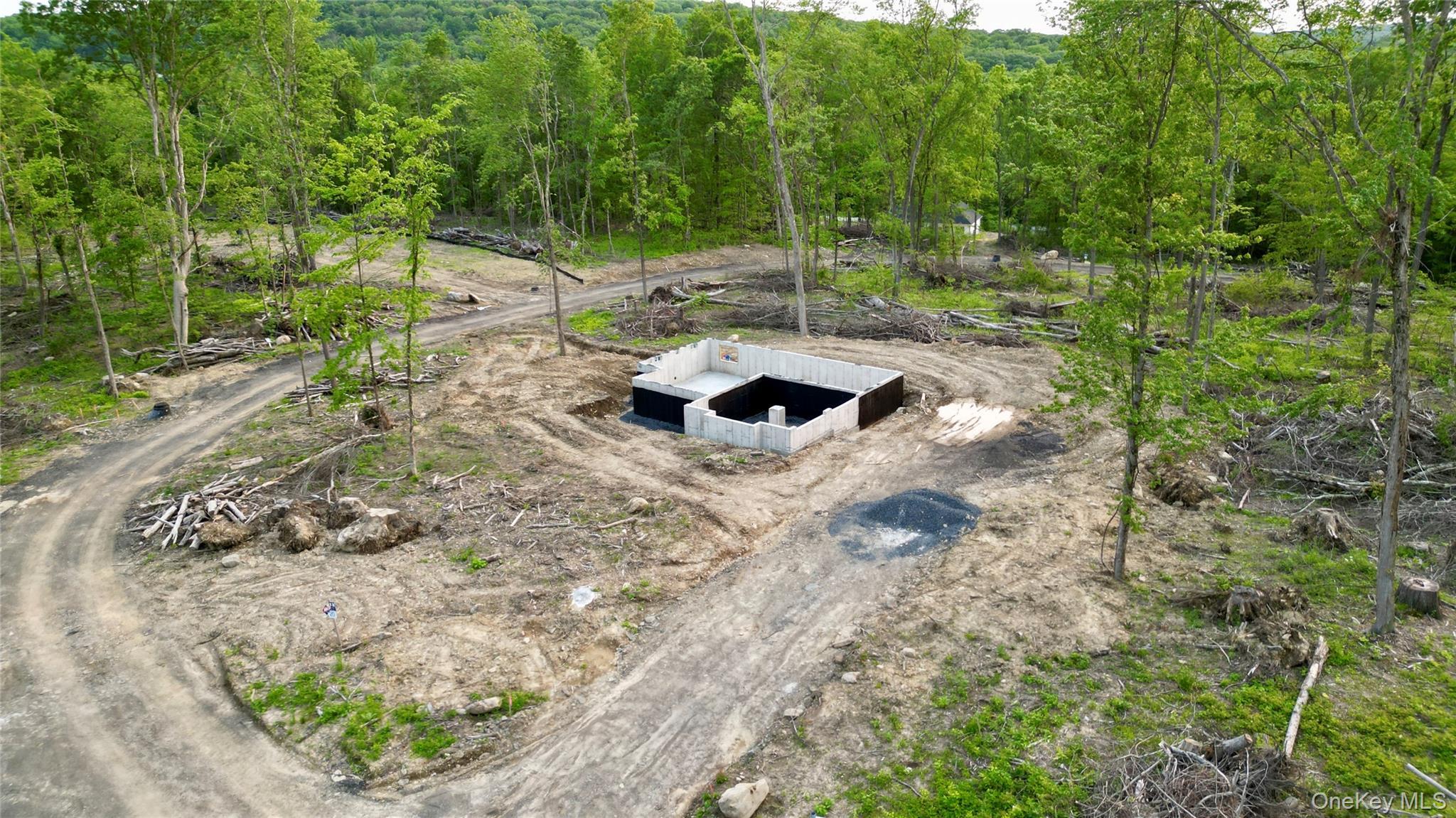 Single Family Black Gum  Orange County, NY 12550, MLS-863671-19