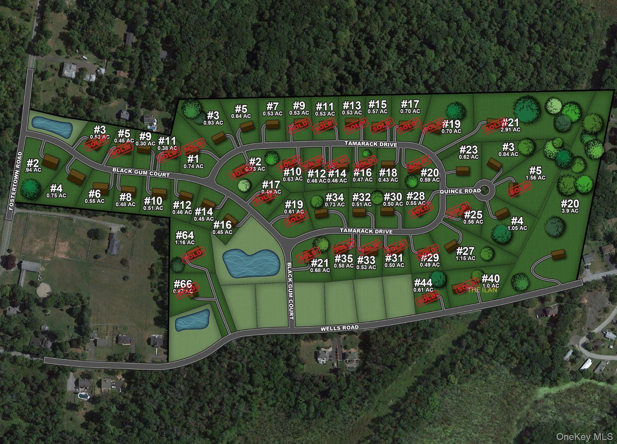 Single Family Black Gum  Orange County, NY 12550, MLS-863671-2