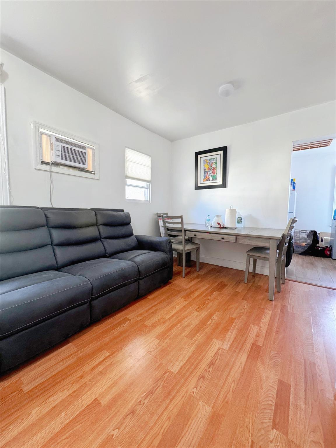Single Family 85th  Queens, NY 11421, MLS-863752-6