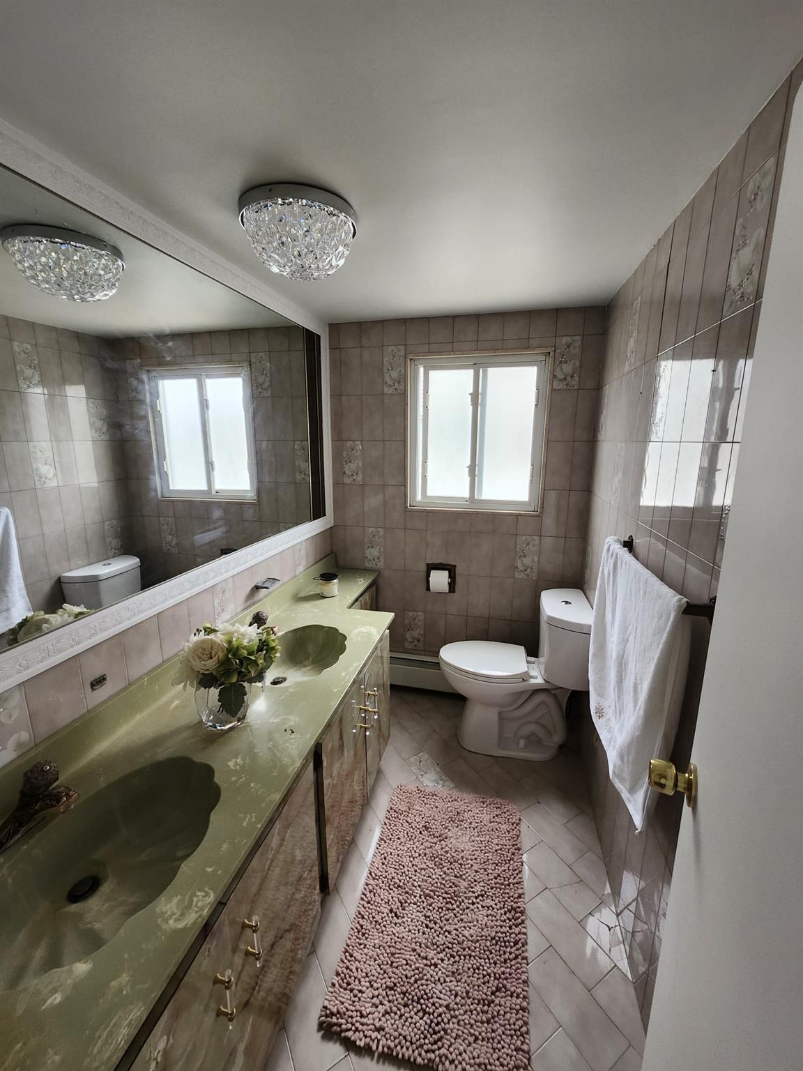 Single Family Thrush  Nassau County, NY 11552, MLS-863772-8