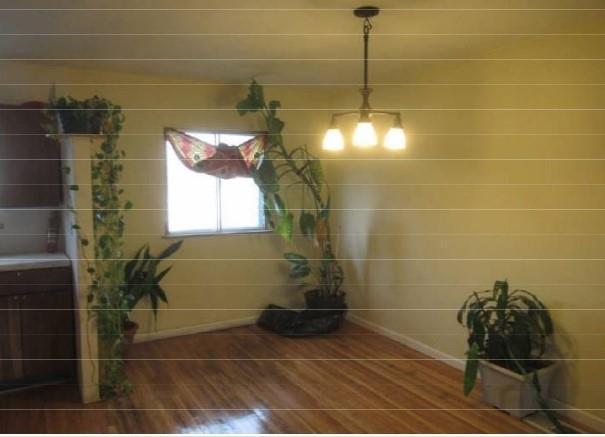 Single Family Mickle  Bronx, NY 10469, MLS-863877-12