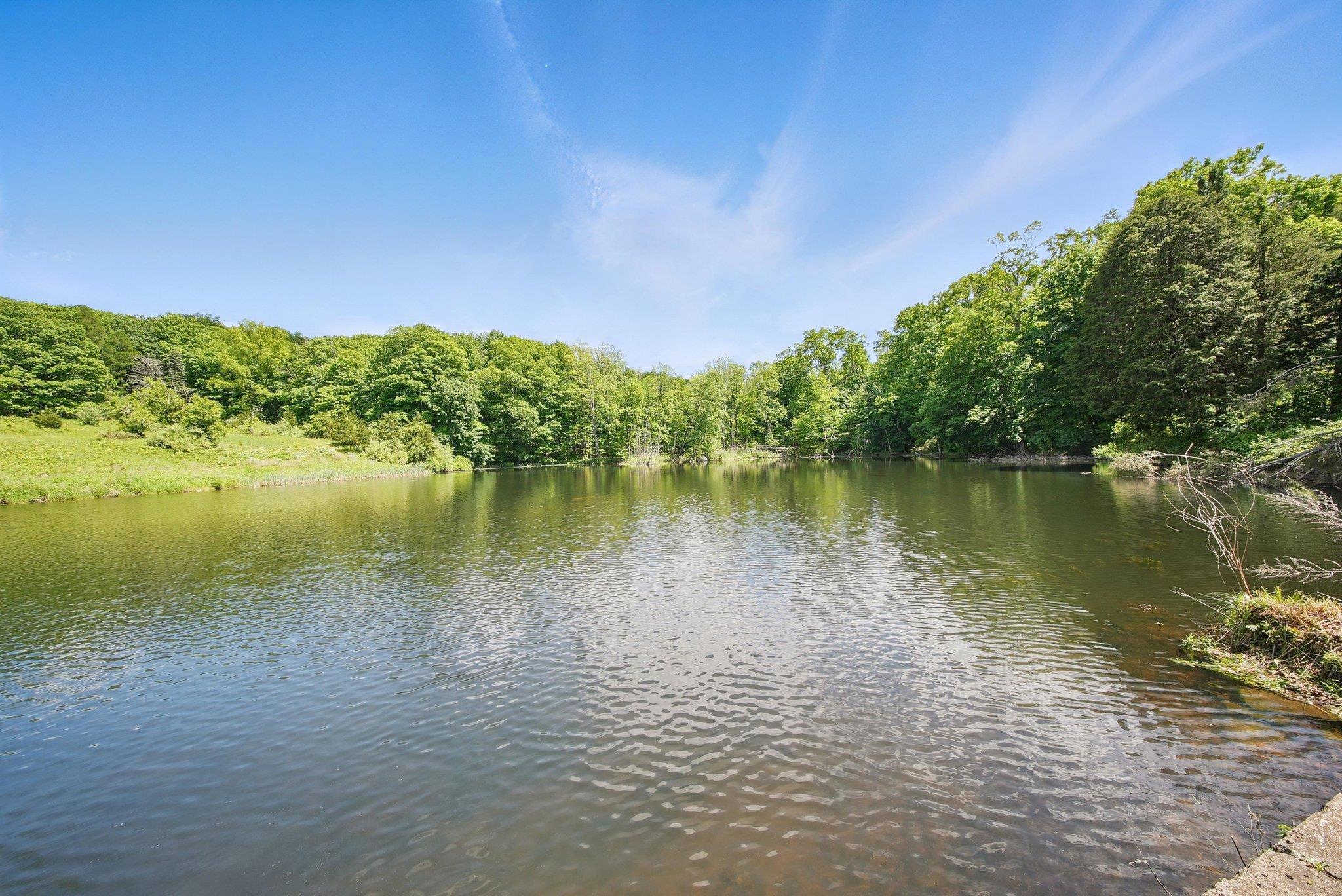 Single Family Bonnie Brook  Orange County, NY 10950, MLS-863903-32