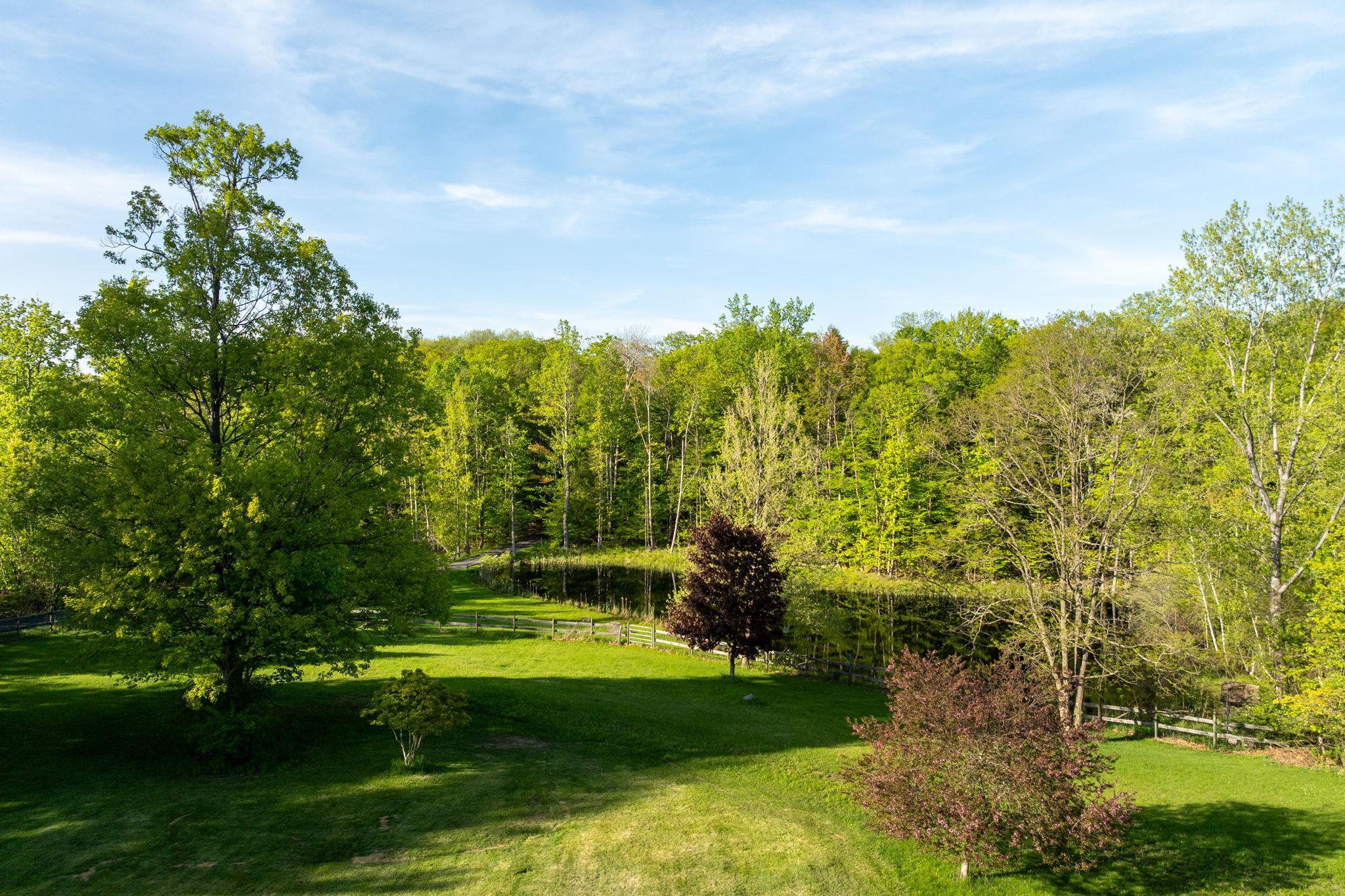 Single Family County Road 20  Greene County, NY 12413, MLS-864032-48