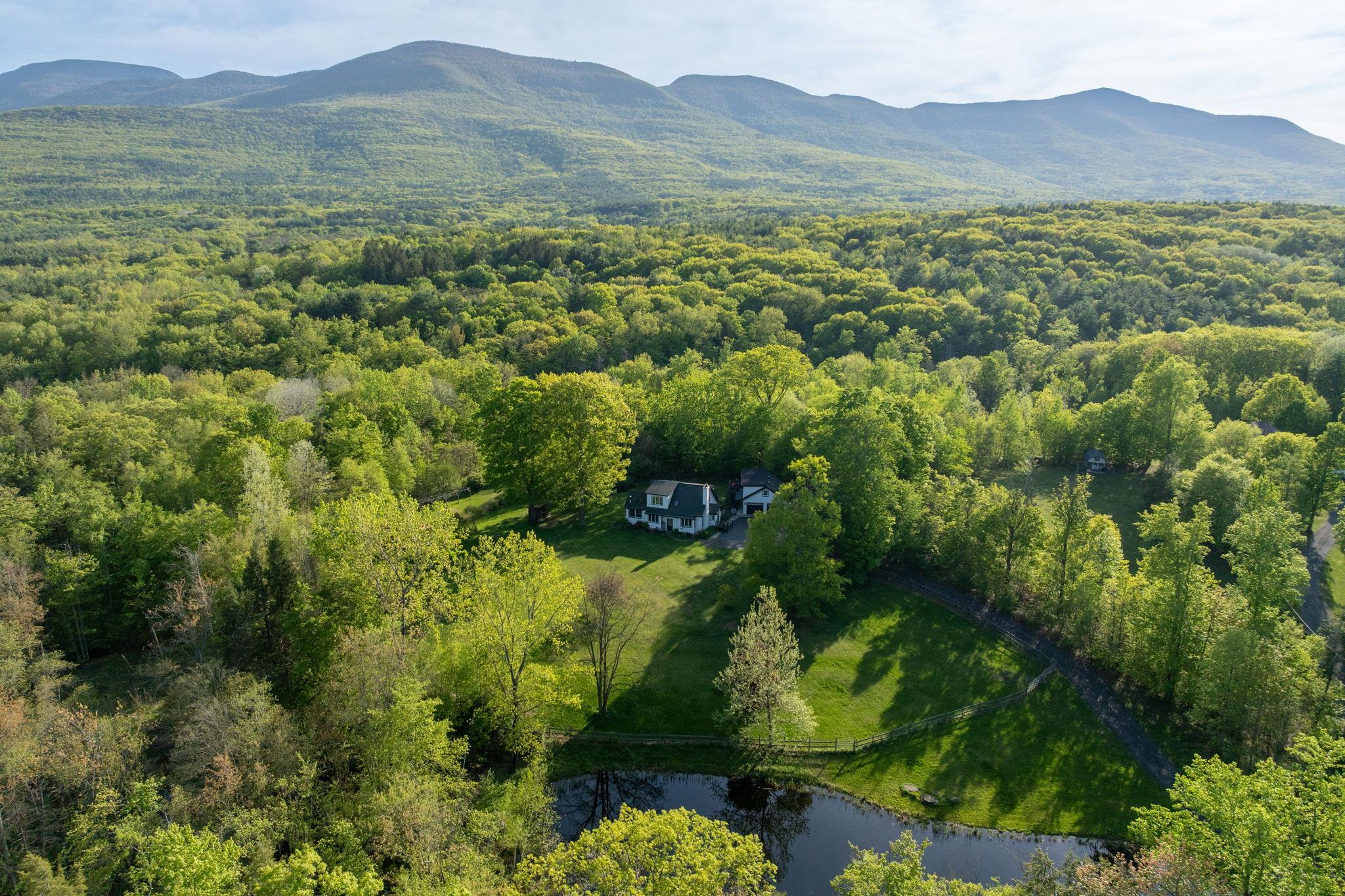 Single Family County Road 20  Greene County, NY 12413, MLS-864032-50