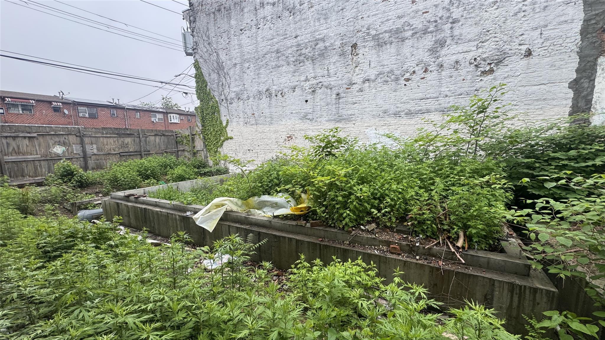 Land Schenck  Brooklyn, NY 11207, MLS-864144-3