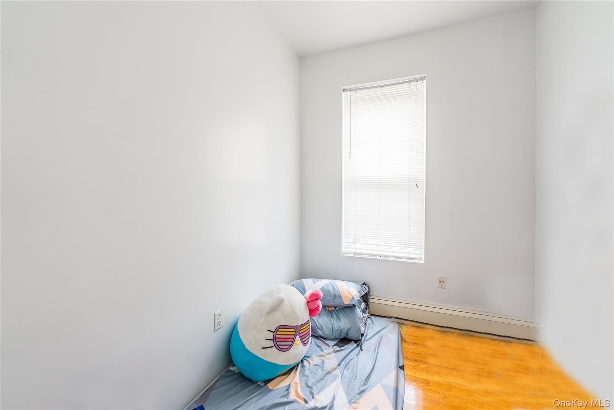 Single Family Etna Brooklyn, NY 11208, MLS-864190-11