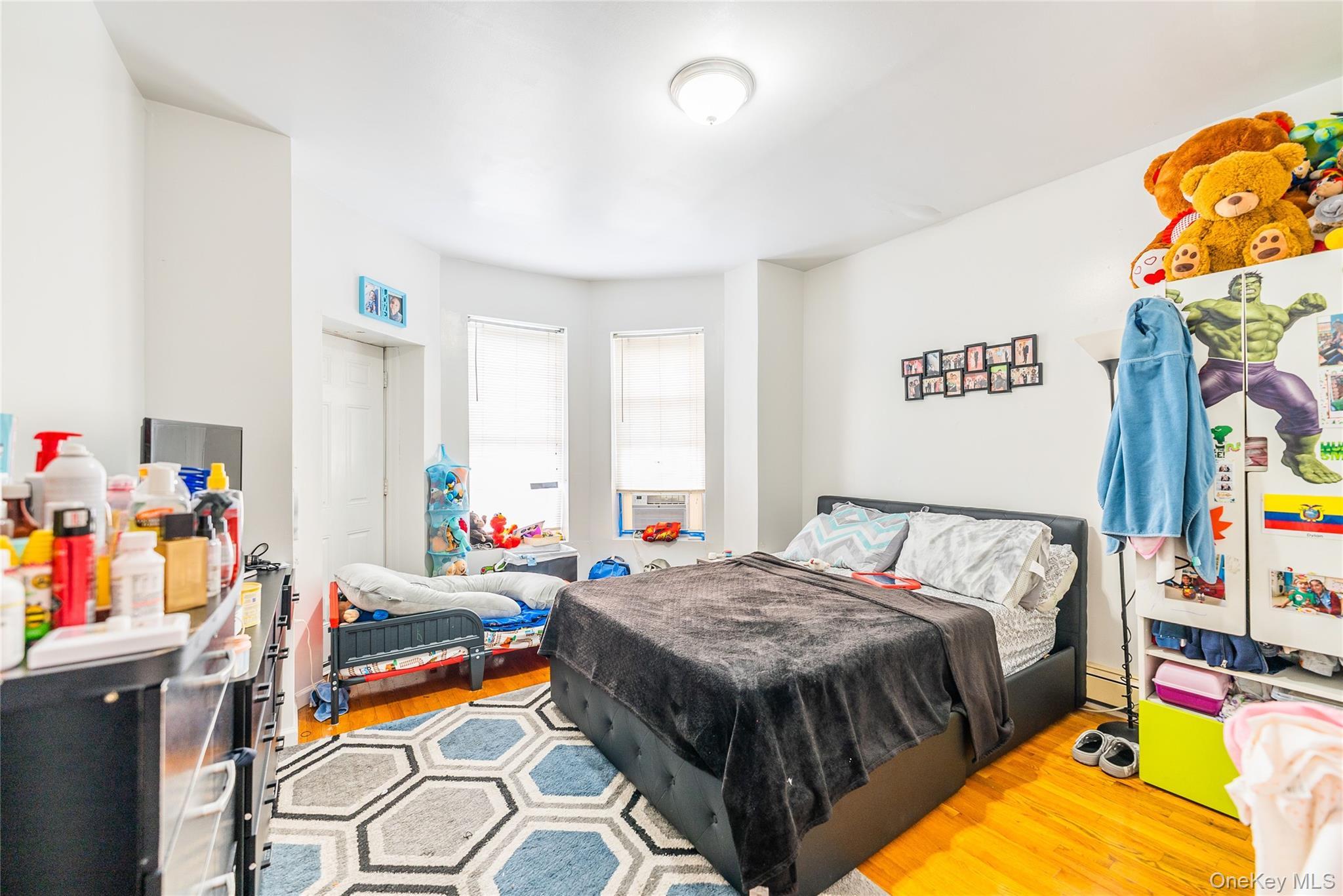 Single Family Etna Brooklyn, NY 11208, MLS-864190-9