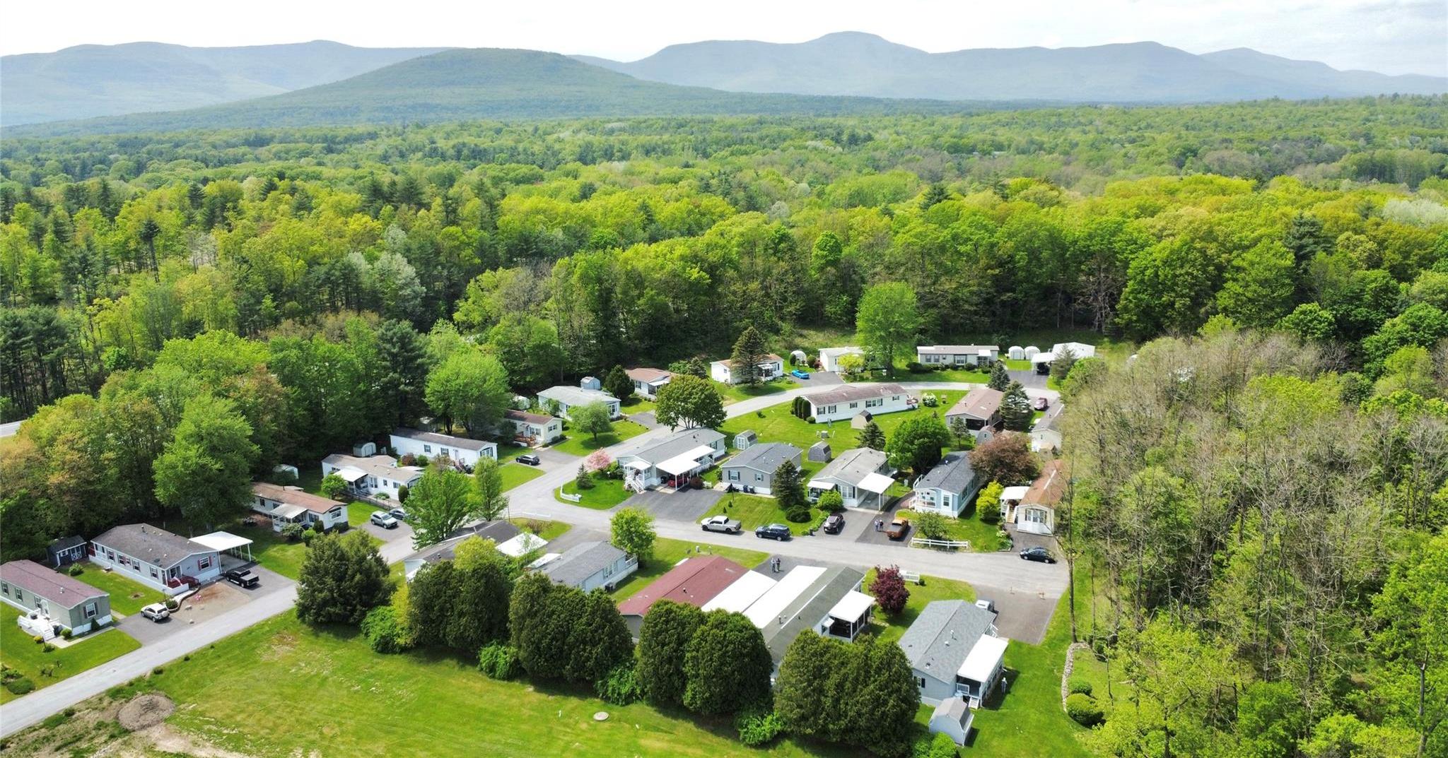 Single Family Country Estates  Greene County, NY 12482, MLS-864331-3