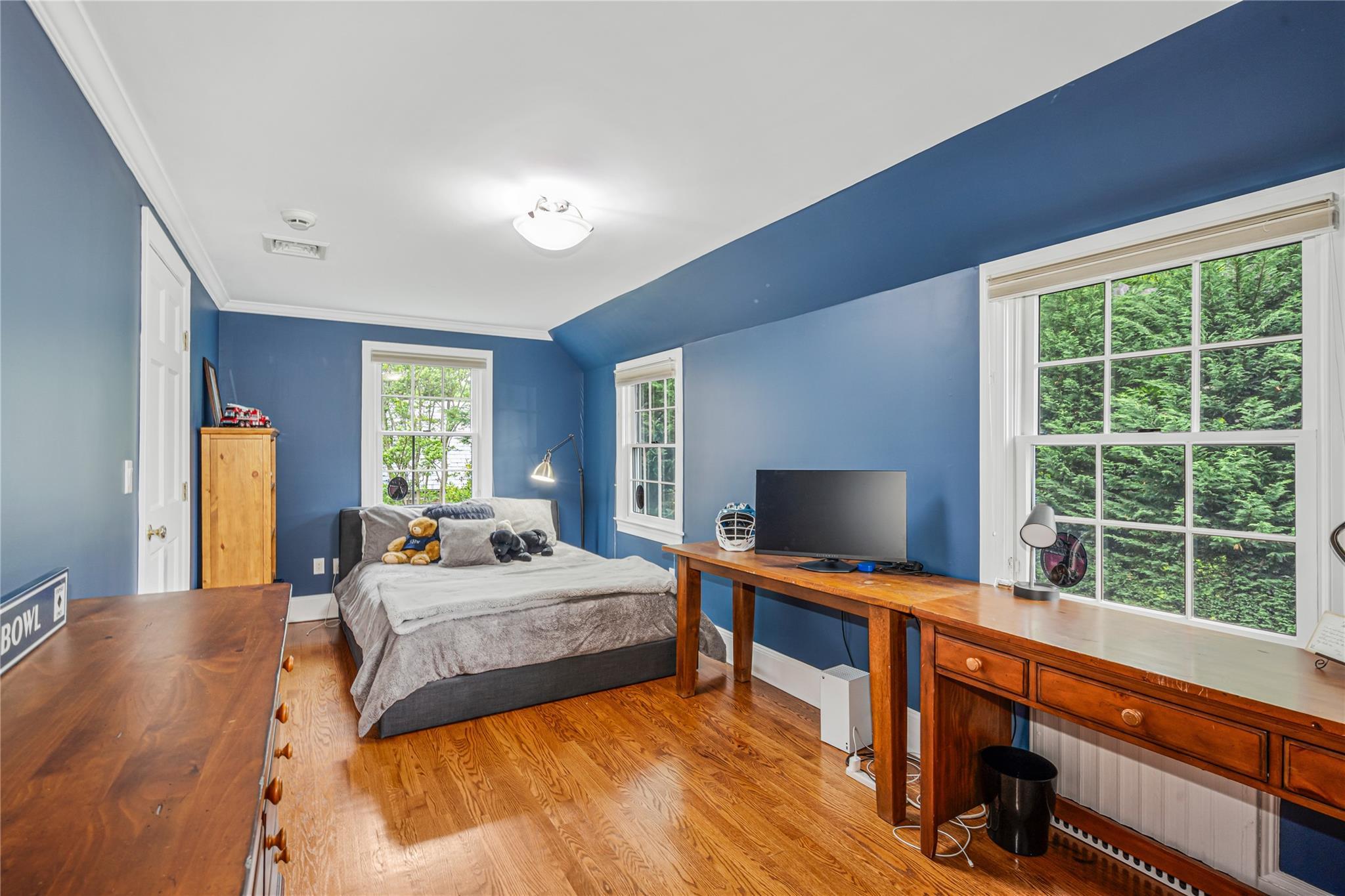 Single Family Eakins  Nassau County, NY 11030, MLS-864590-22