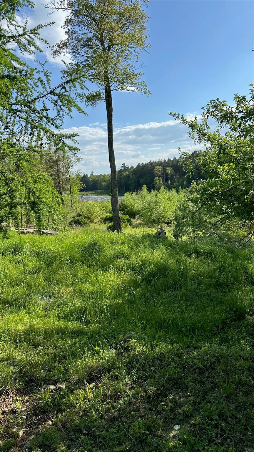 Single Family Sackett Lake  Sullivan County, NY 12701, MLS-864850-44