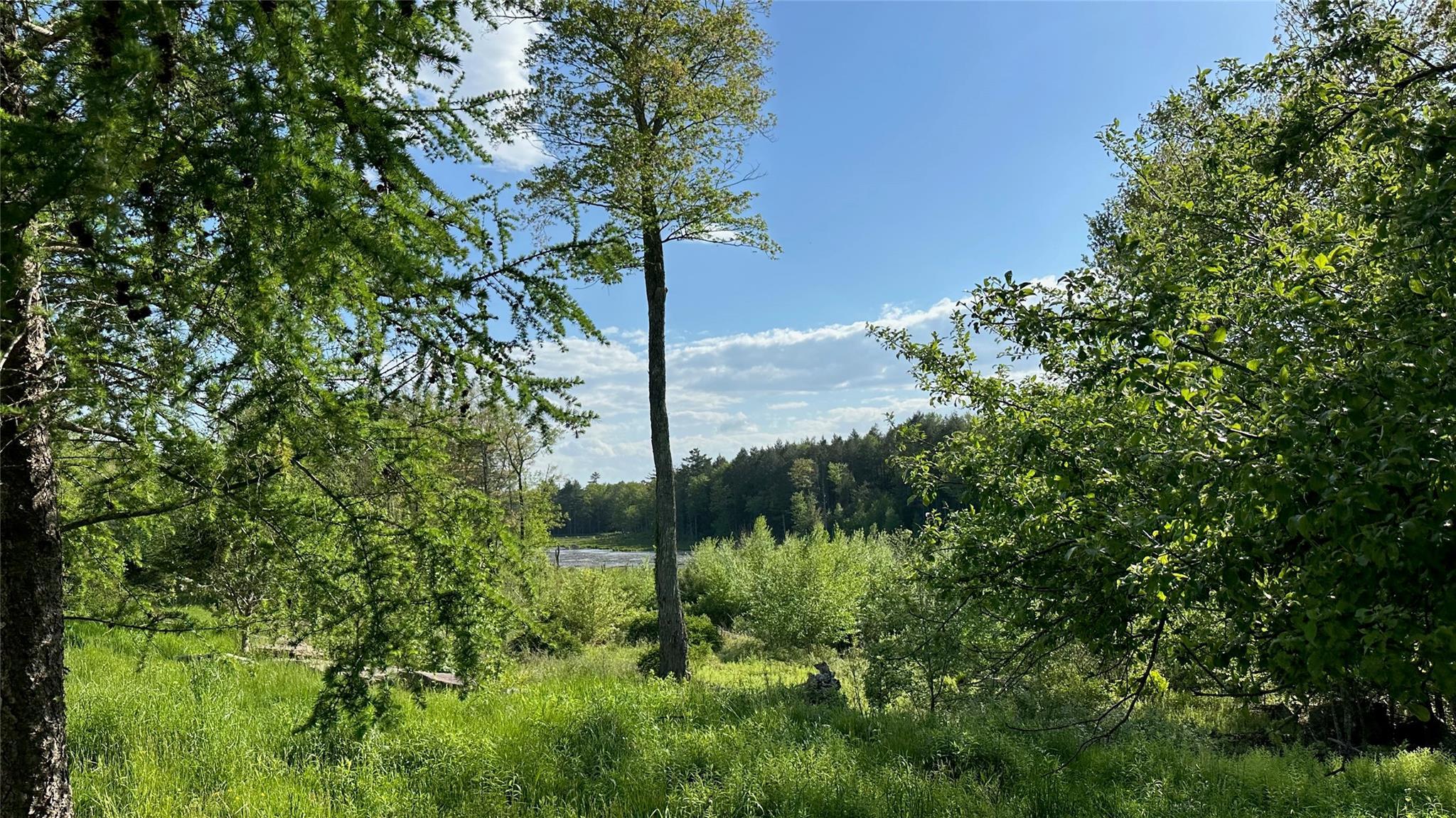 Single Family Sackett Lake  Sullivan County, NY 12701, MLS-864850-45