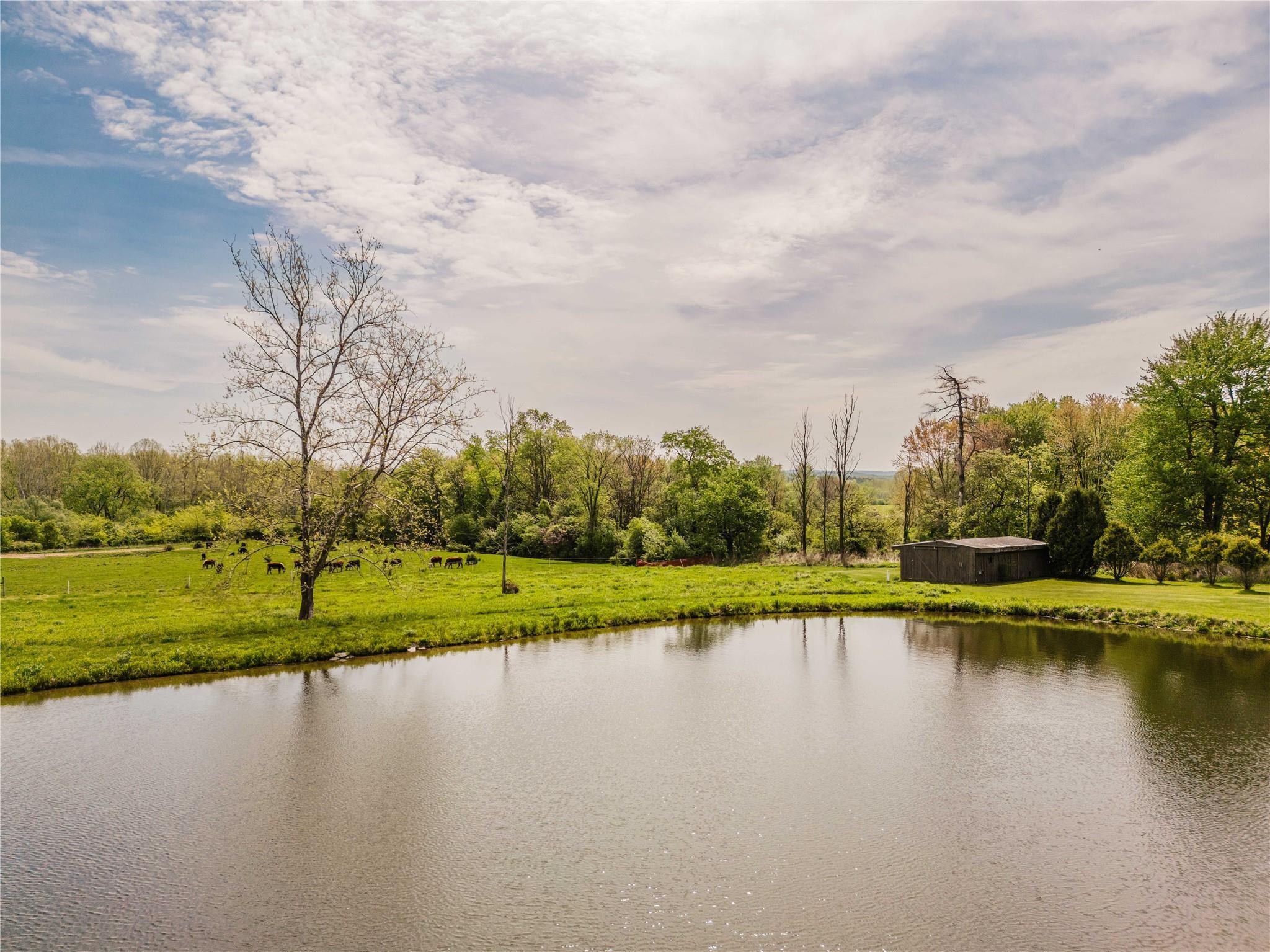 Single Family State Route 203  Columbia County, NY 12184, MLS-865011-4