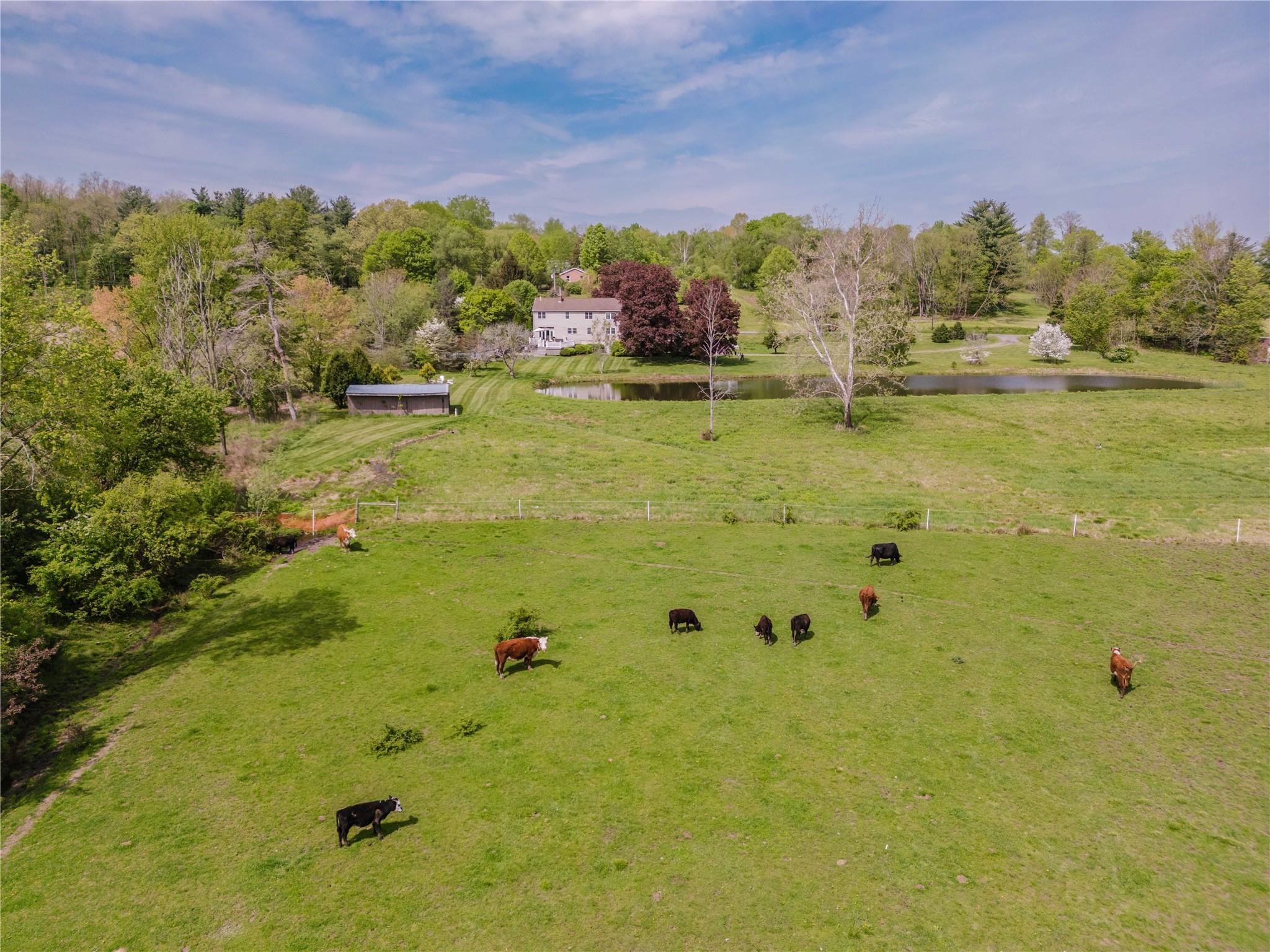 Single Family State Route 203  Columbia County, NY 12184, MLS-865011-5