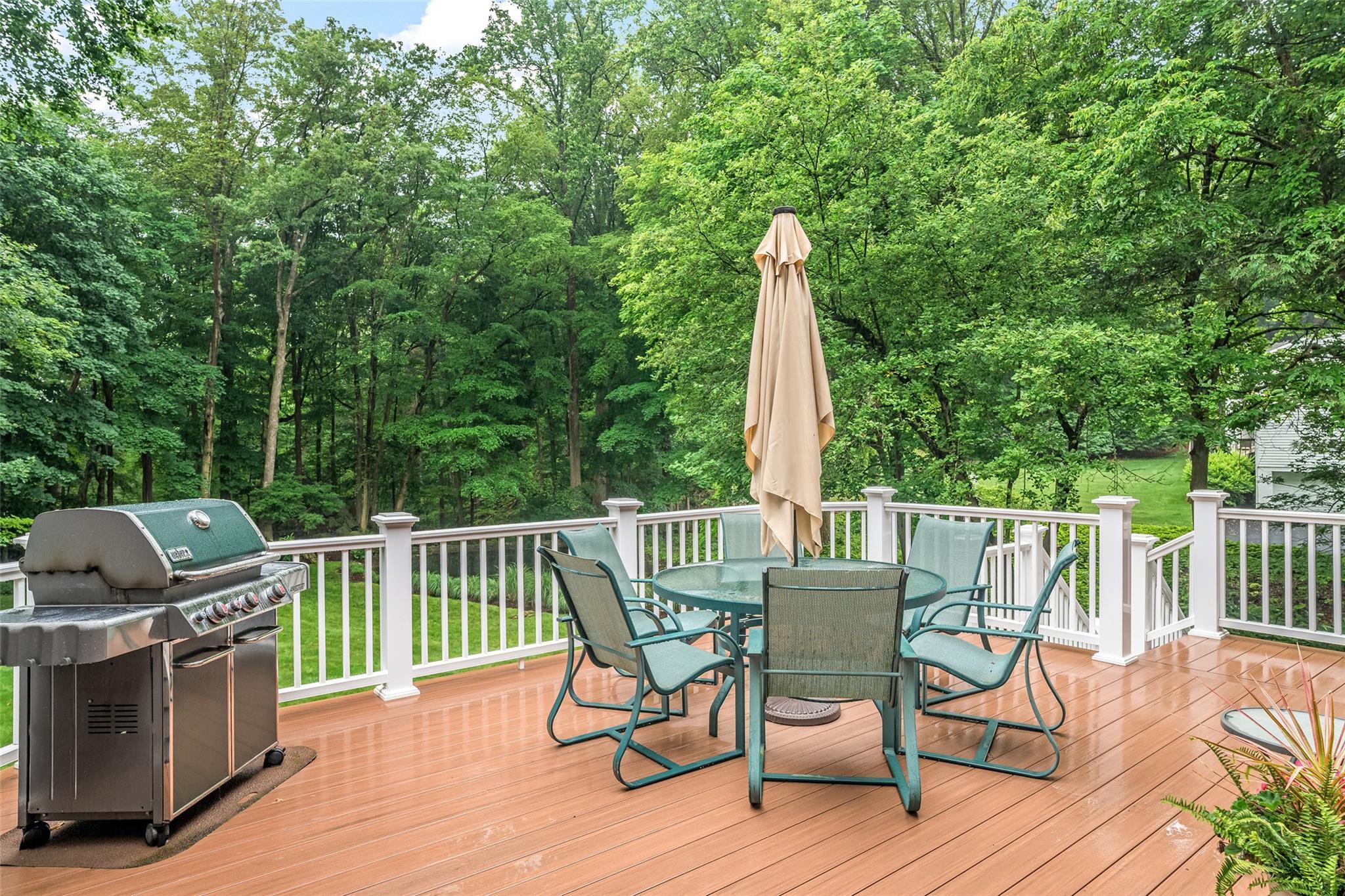 Single Family Evergreen  Westchester County, NY 10504, MLS-865111-30
