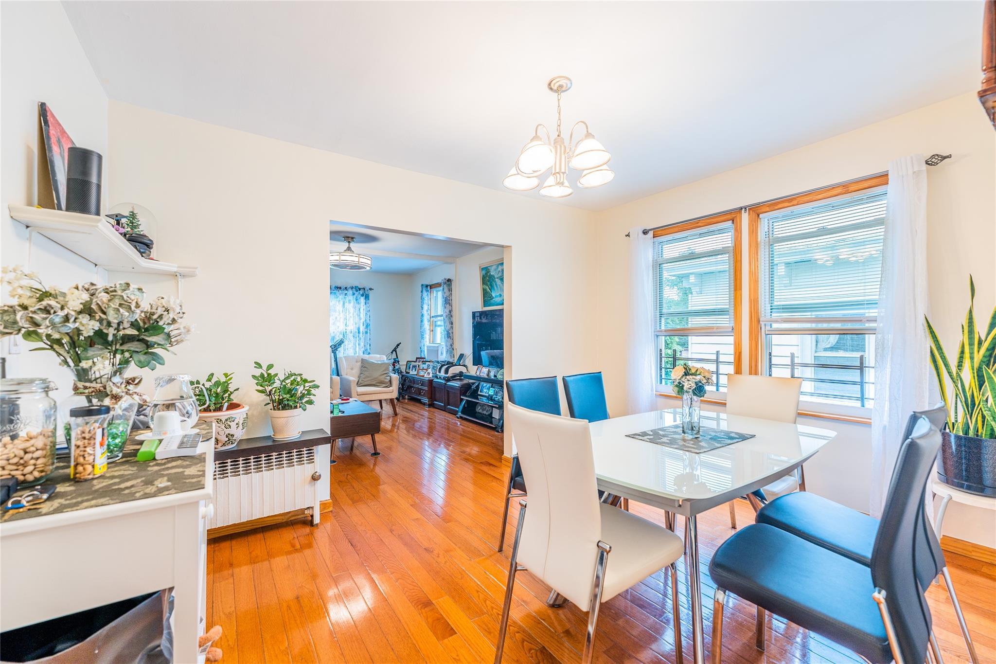 Single Family 164  Queens, NY 11358, MLS-865180-10