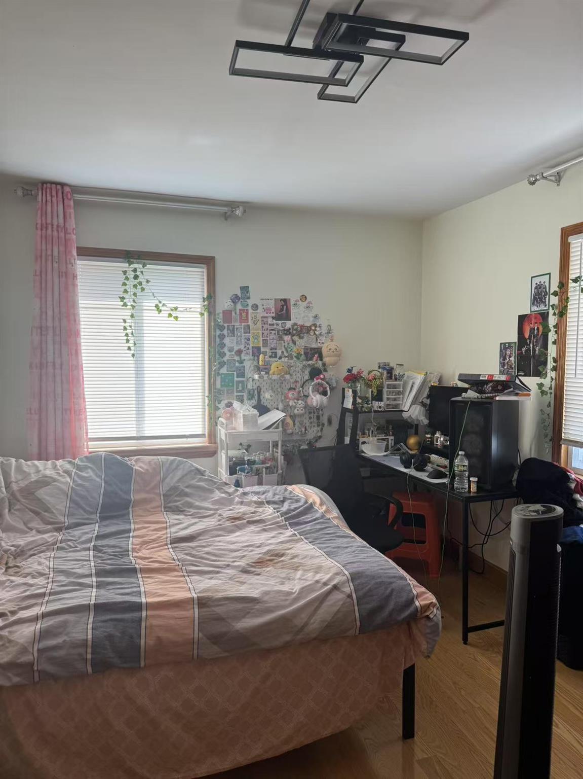 Single Family 185  Queens, NY 11365, MLS-865262-5