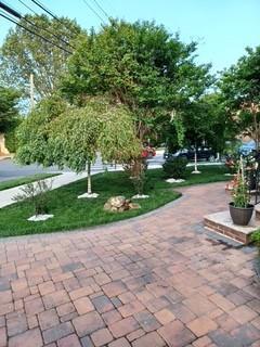Single Family Kew Gardens  Queens, NY 11415, MLS-865482-5