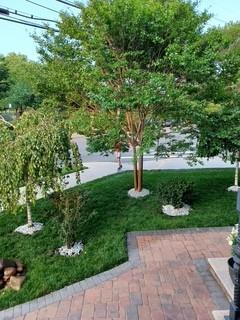 Single Family Kew Gardens  Queens, NY 11415, MLS-865482-6