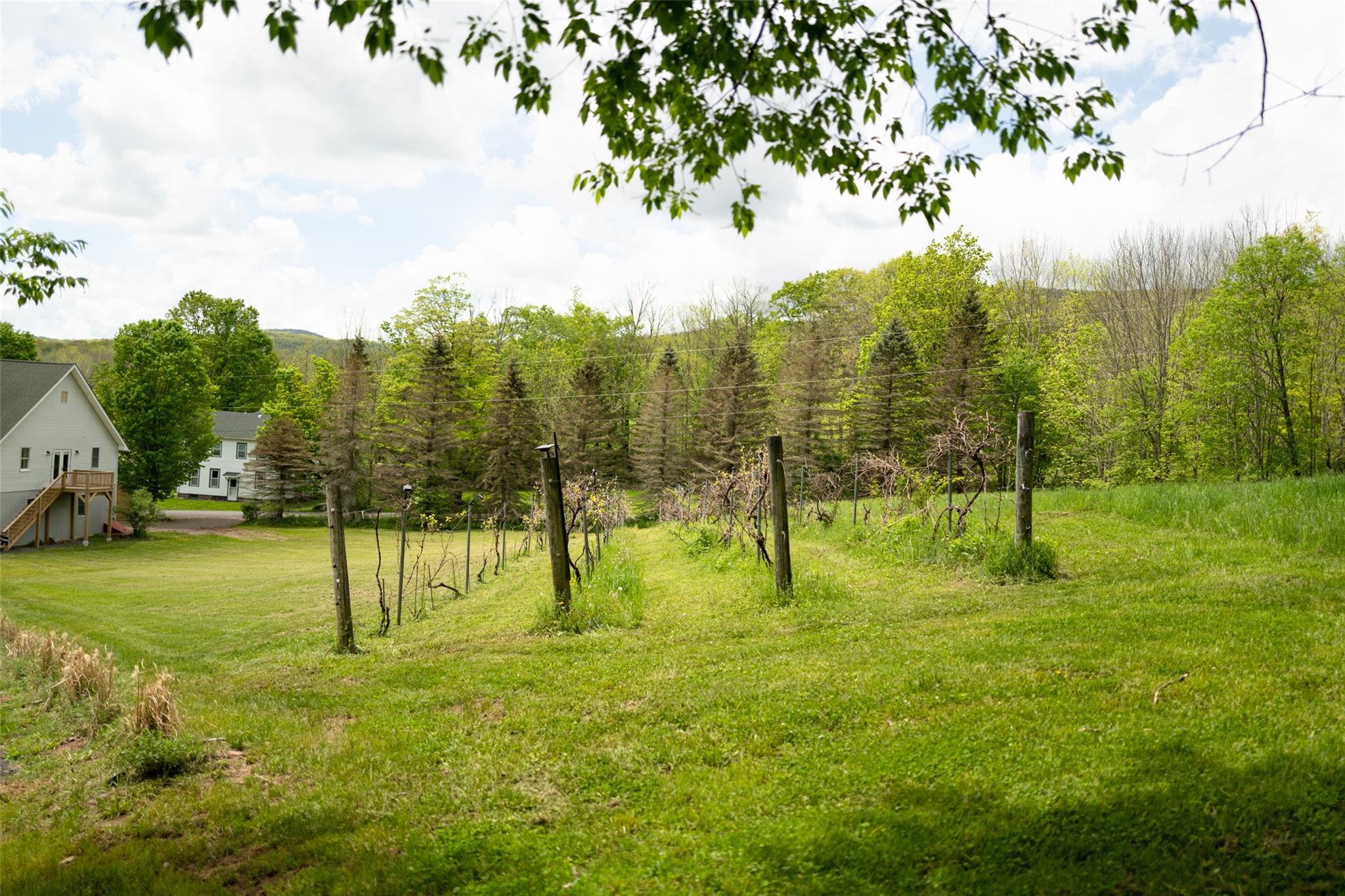 Single Family Macmore  Delaware County, NY 12474, MLS-865522-10