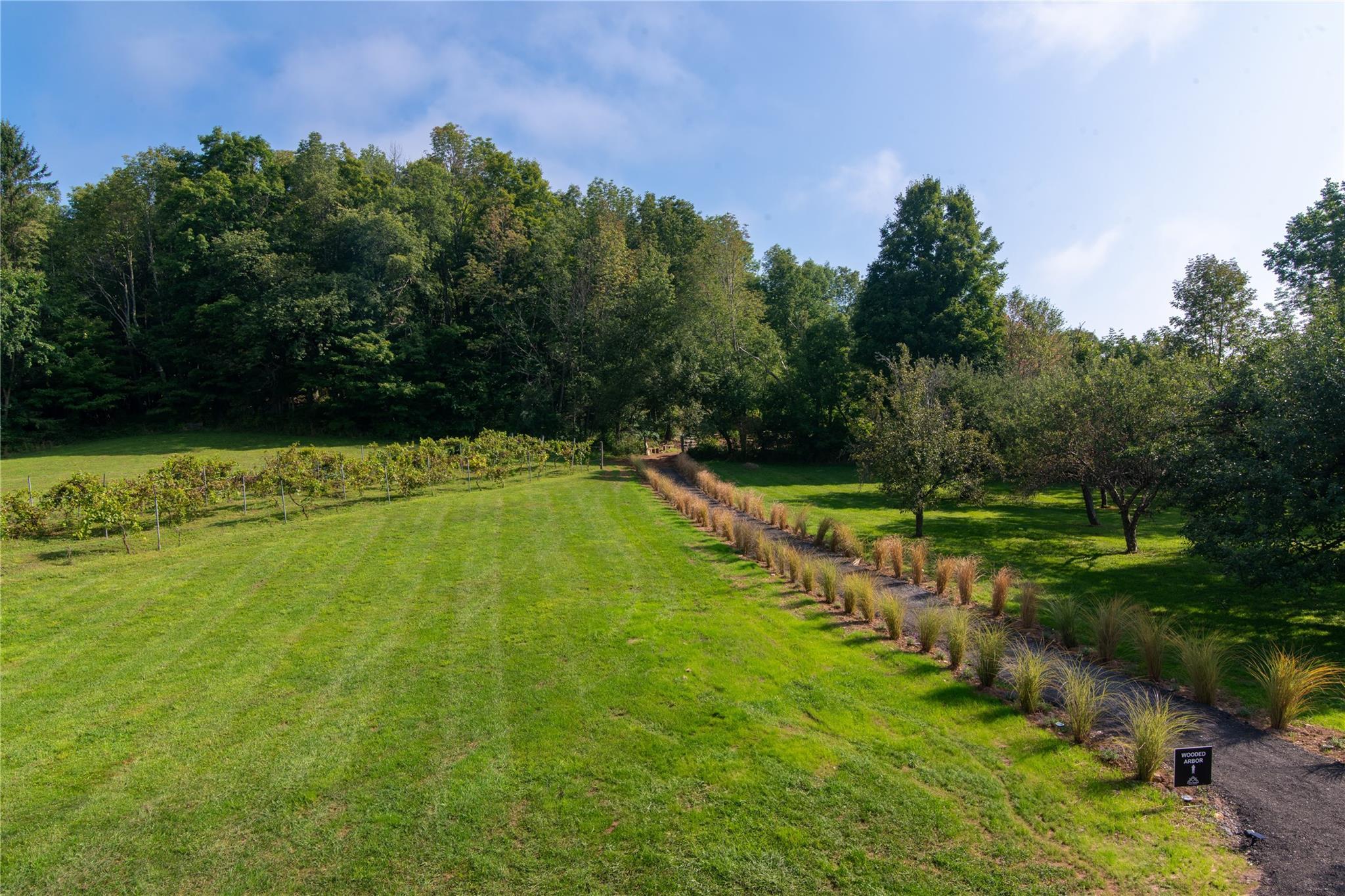 Single Family Macmore  Delaware County, NY 12474, MLS-865522-5