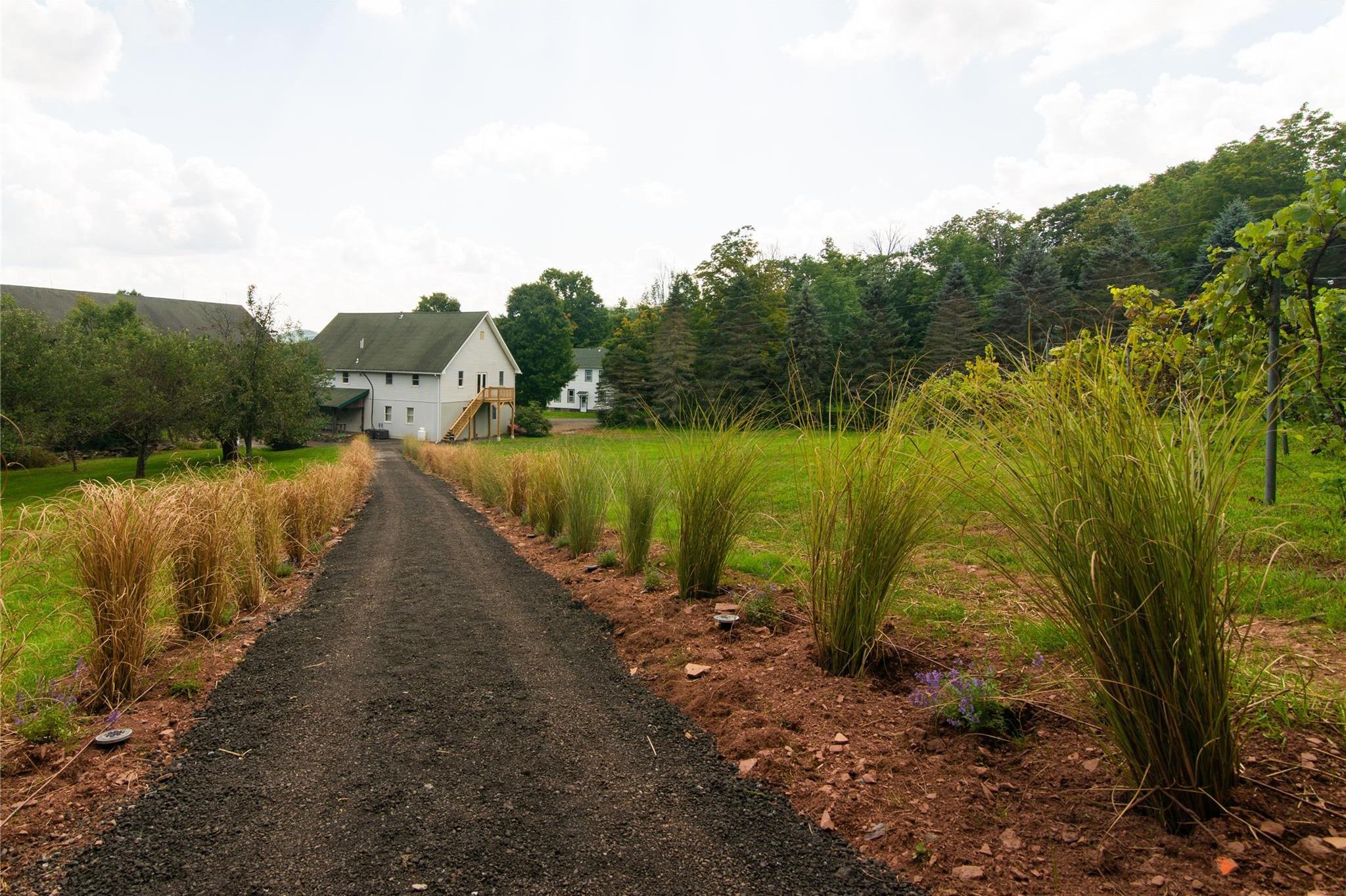Single Family Macmore  Delaware County, NY 12474, MLS-865522-6