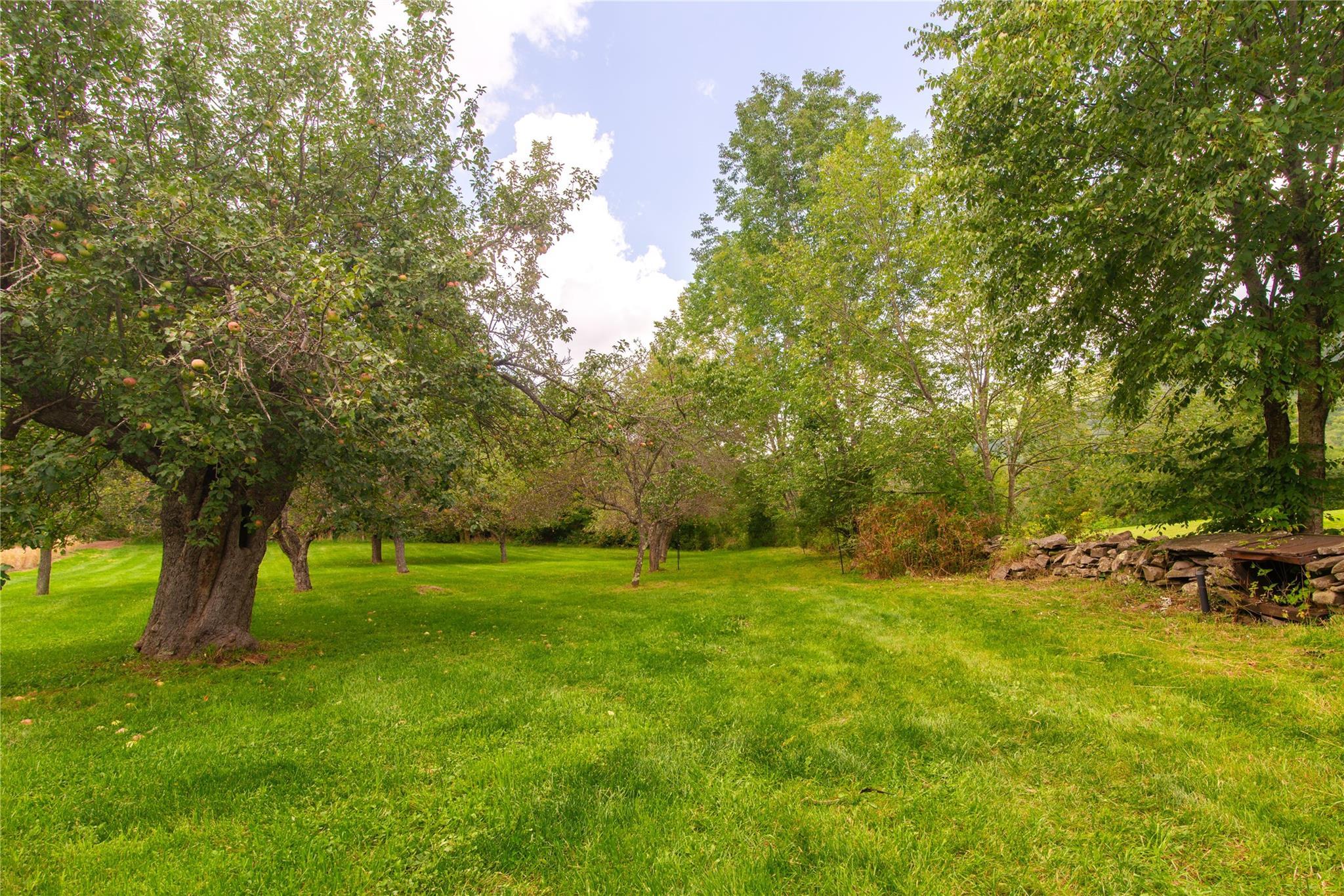 Single Family Macmore  Delaware County, NY 12474, MLS-865522-9