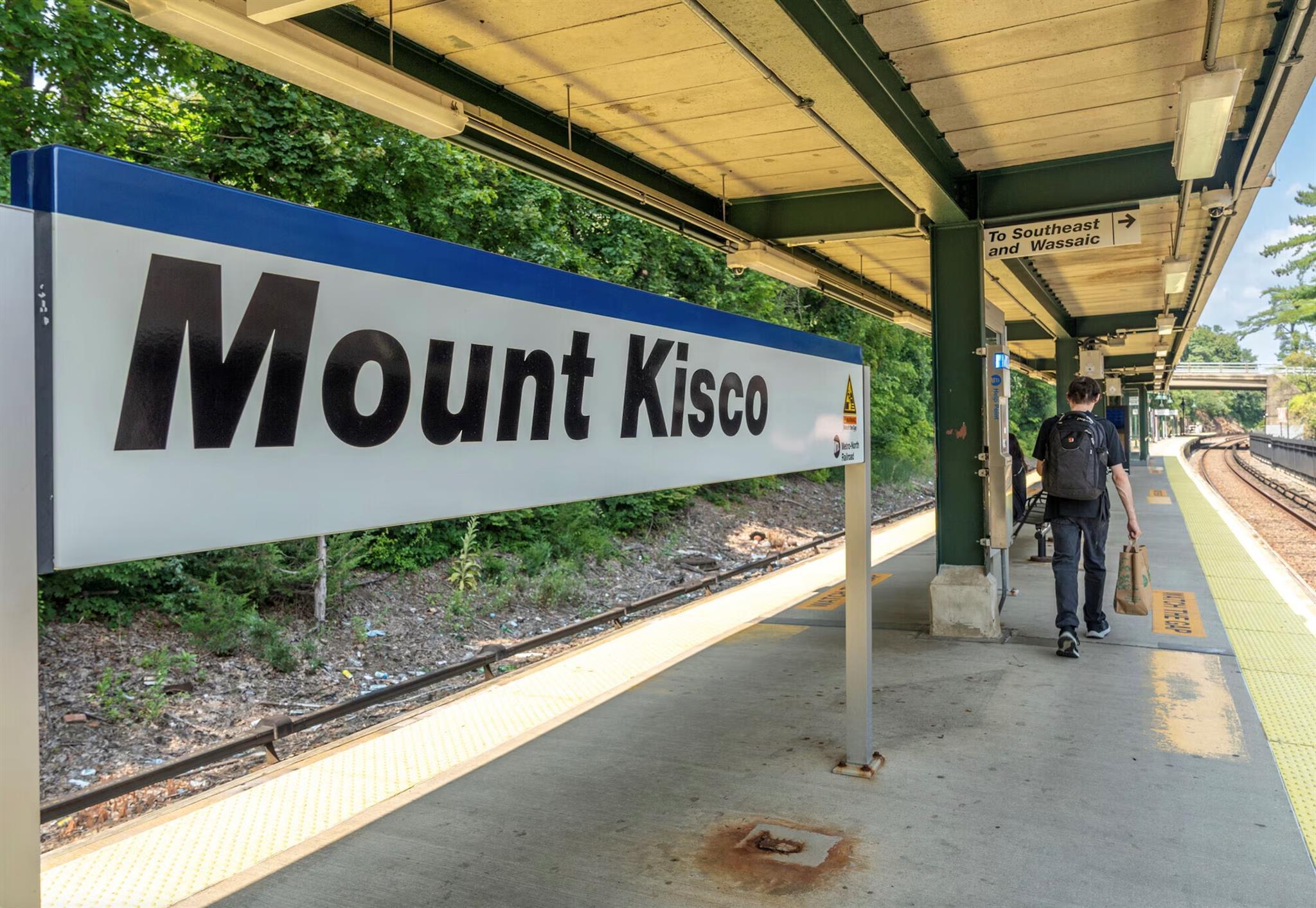 Single Family Seven Bridges  Westchester County, NY 10549, MLS-865534-32