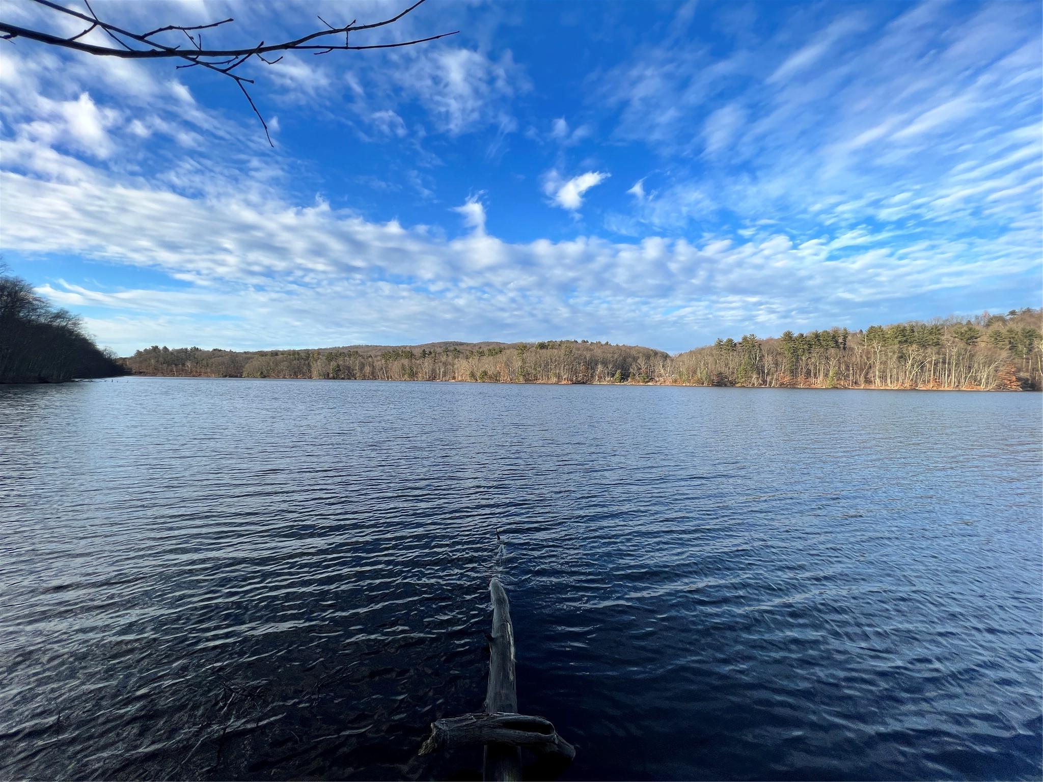 Single Family Seven Bridges  Westchester County, NY 10549, MLS-865534-39