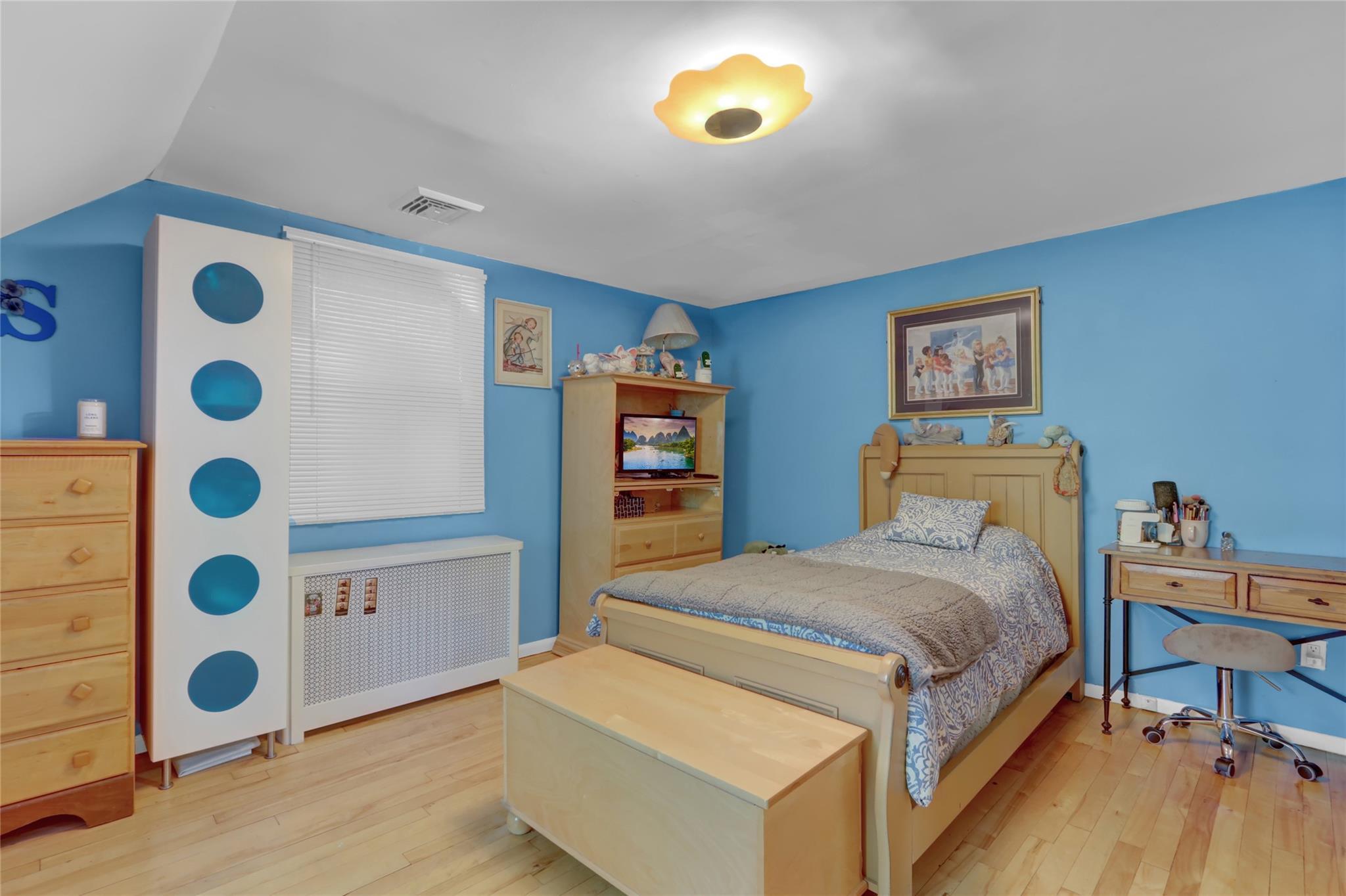 Single Family Maple  Nassau County, NY 11040, MLS-865553-20