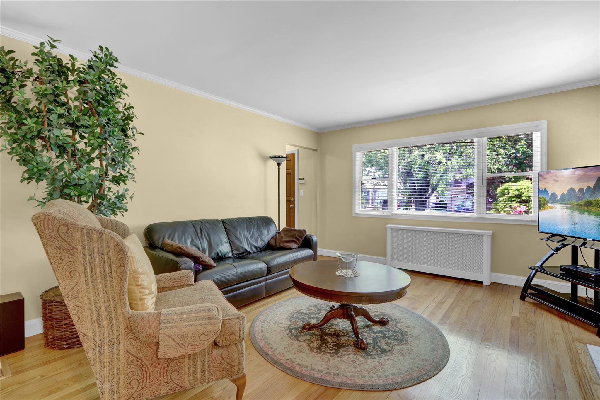 Single Family Maple  Nassau County, NY 11040, MLS-865553-3